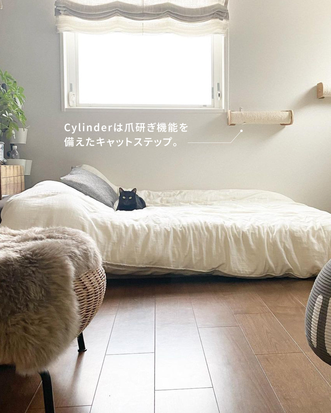 𝐋𝐢𝐯𝐢𝐧𝐠 𝐰𝐢𝐭𝐡 𝐂𝐚𝐭𝐬|壁掛け爪とぎ「Cylinder」