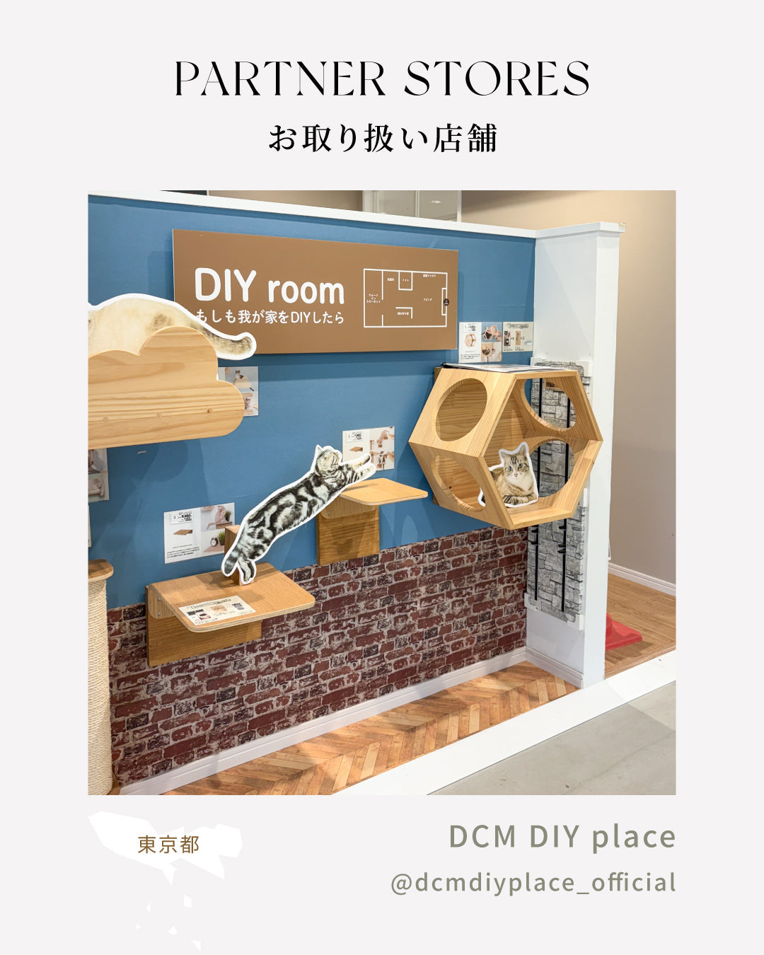 MYZOO取扱店舗情報|DCM DIY place(東京・恵比寿)