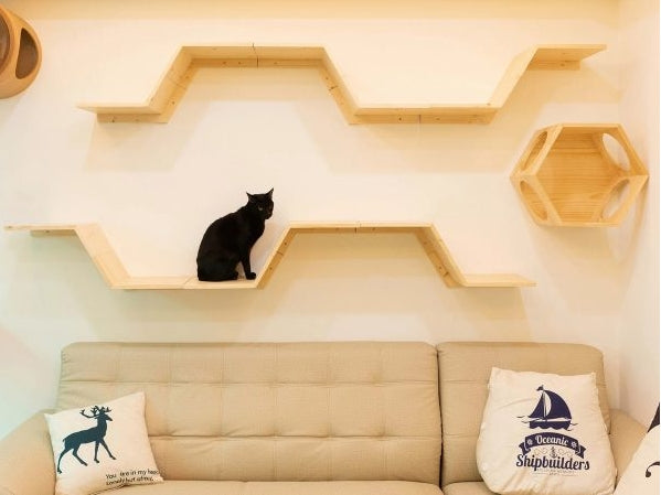 【ウェブマガジン-LIFULL HOME'S PRESS】デザイン性抜群! 潜水艦型ベッドや可愛いステップ