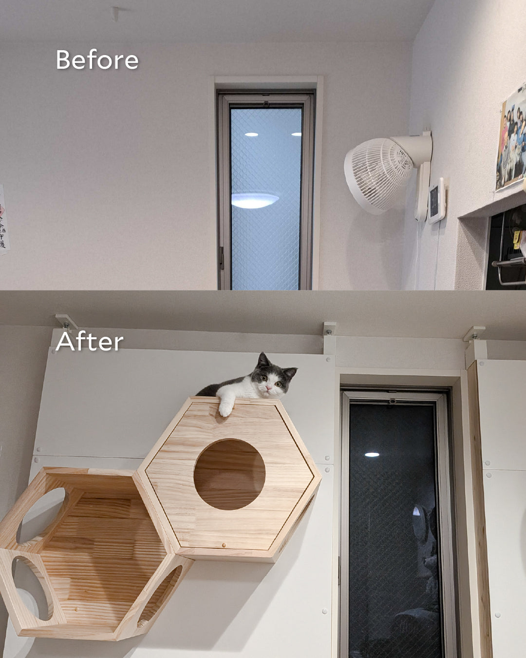 賃貸でも安心|原状回復可能なキャットウォーク設置方法