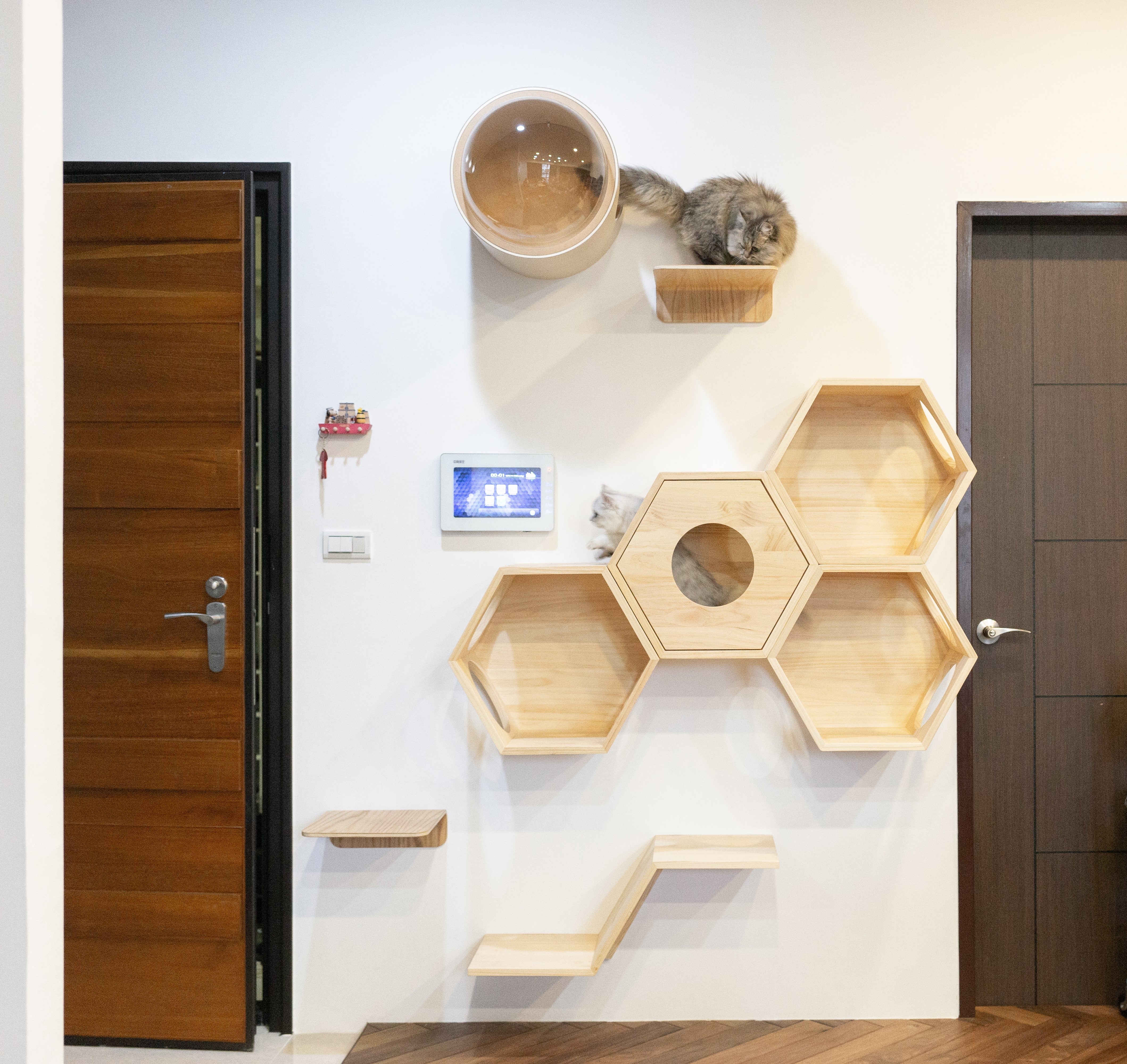 小スペースでも楽しみが無限に広がる