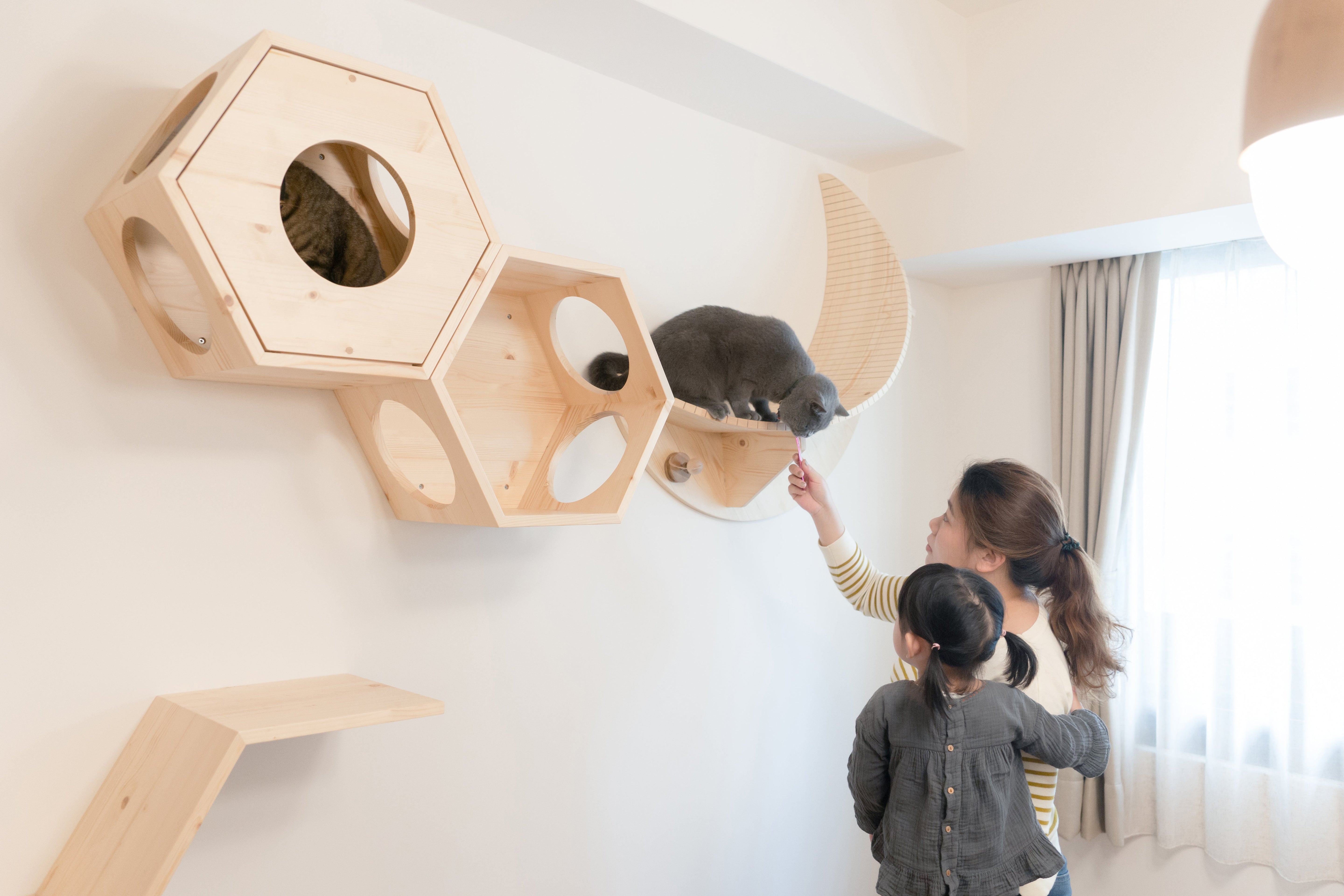 子どもと猫が安心して暮らせる空間設計|心地よい距離をつくる猫との住まい