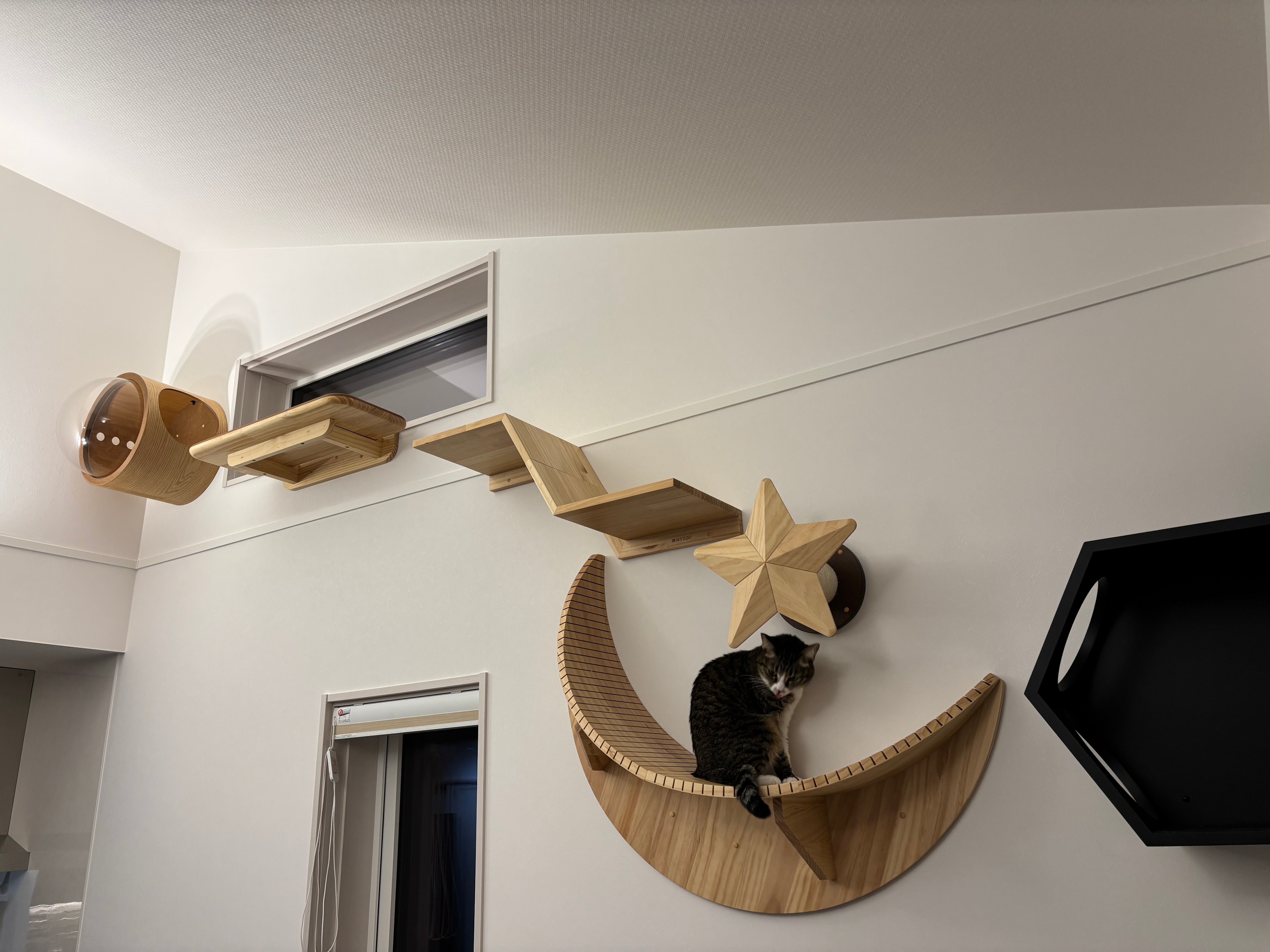 𝐋𝐢𝐯𝐢𝐧𝐠 𝐰𝐢𝐭𝐡 𝐂𝐚𝐭𝐬|勾配天井×生活動線