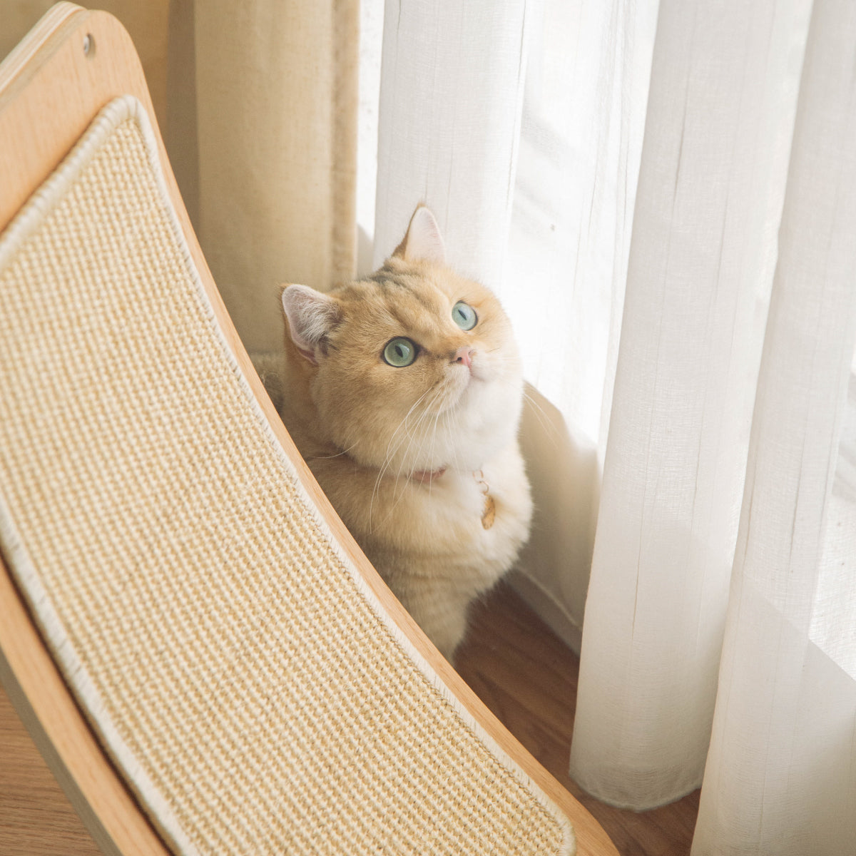 猫用爪とぎ | Scratcher