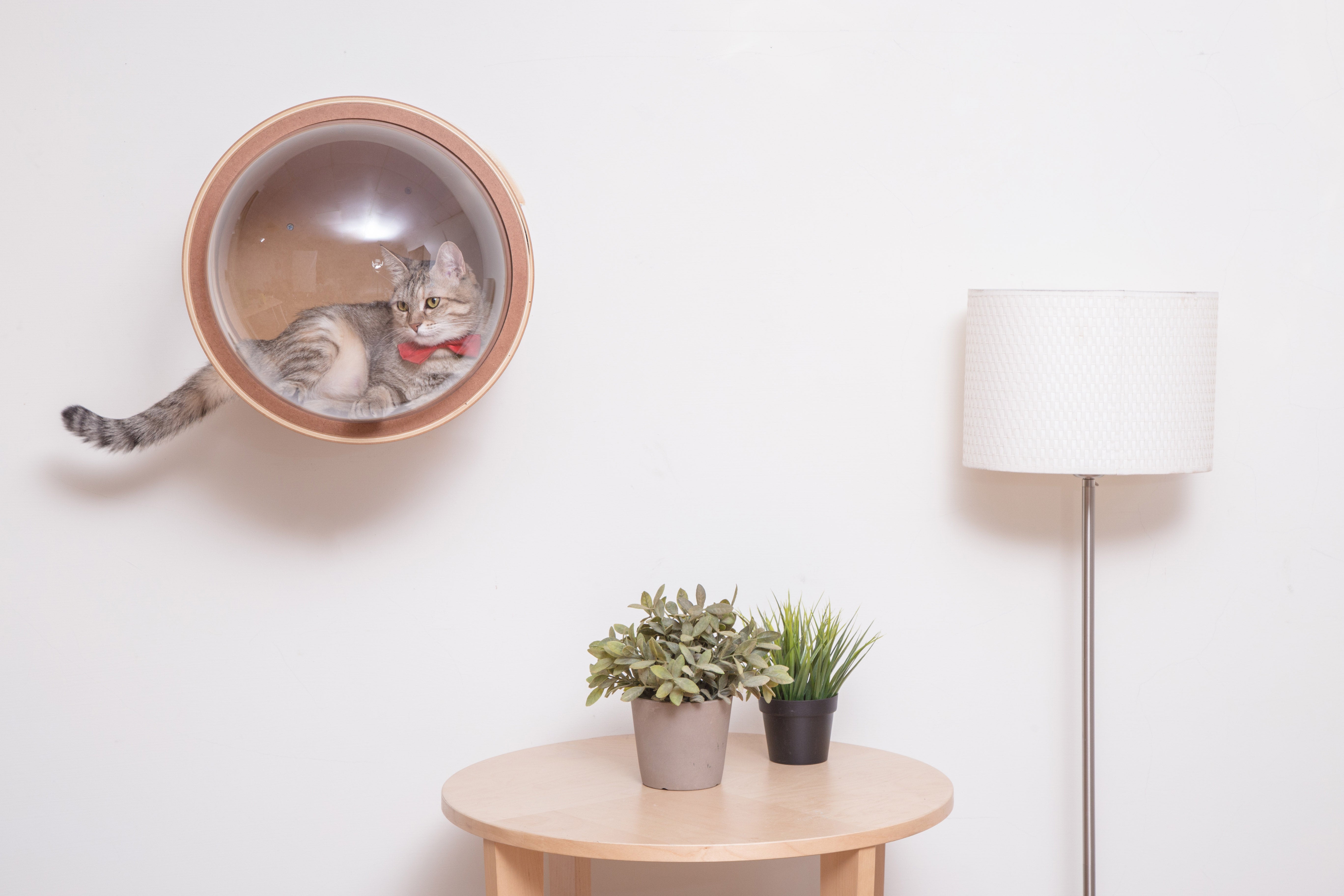 猫ハウス&マットレス