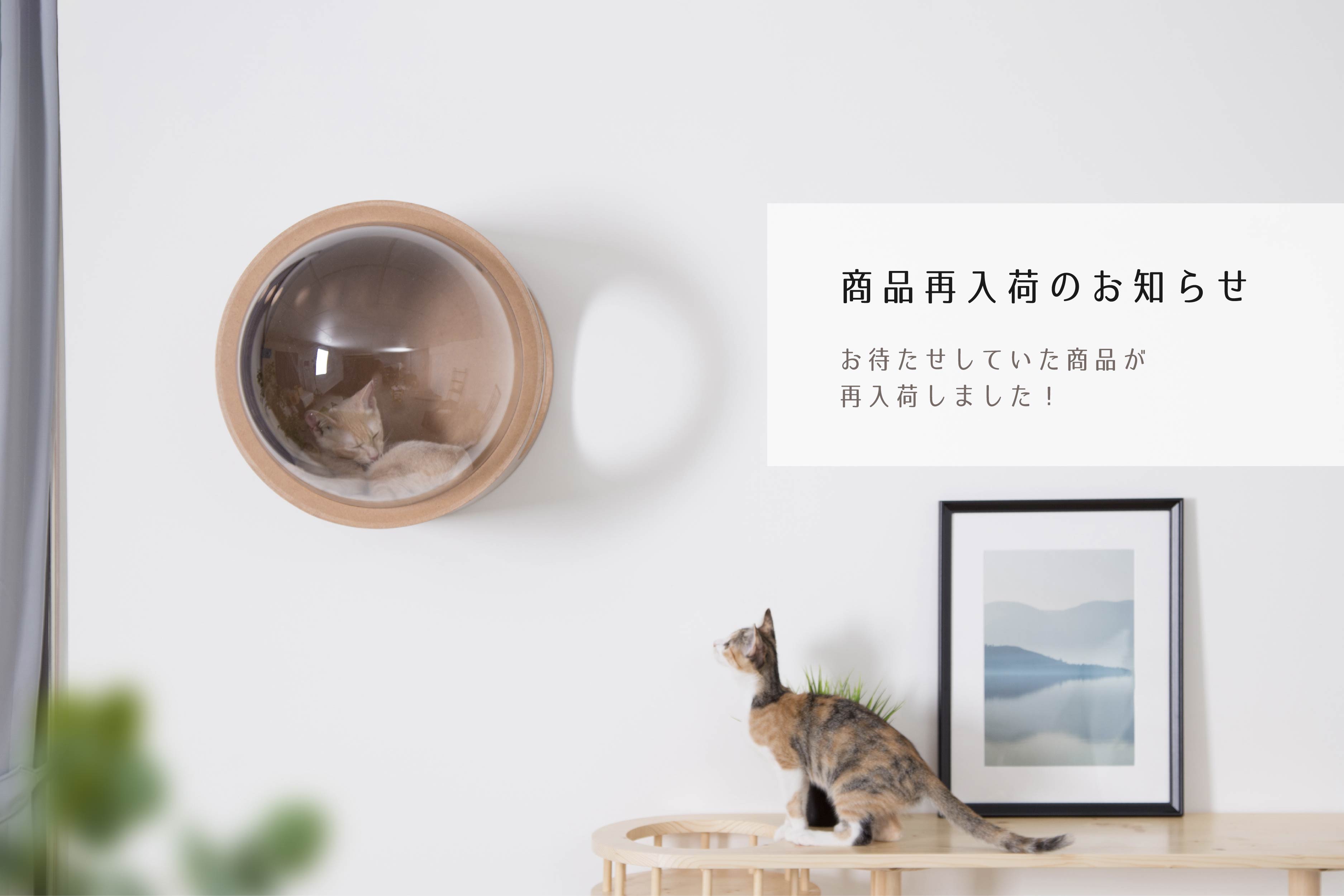 新商品•再入荷