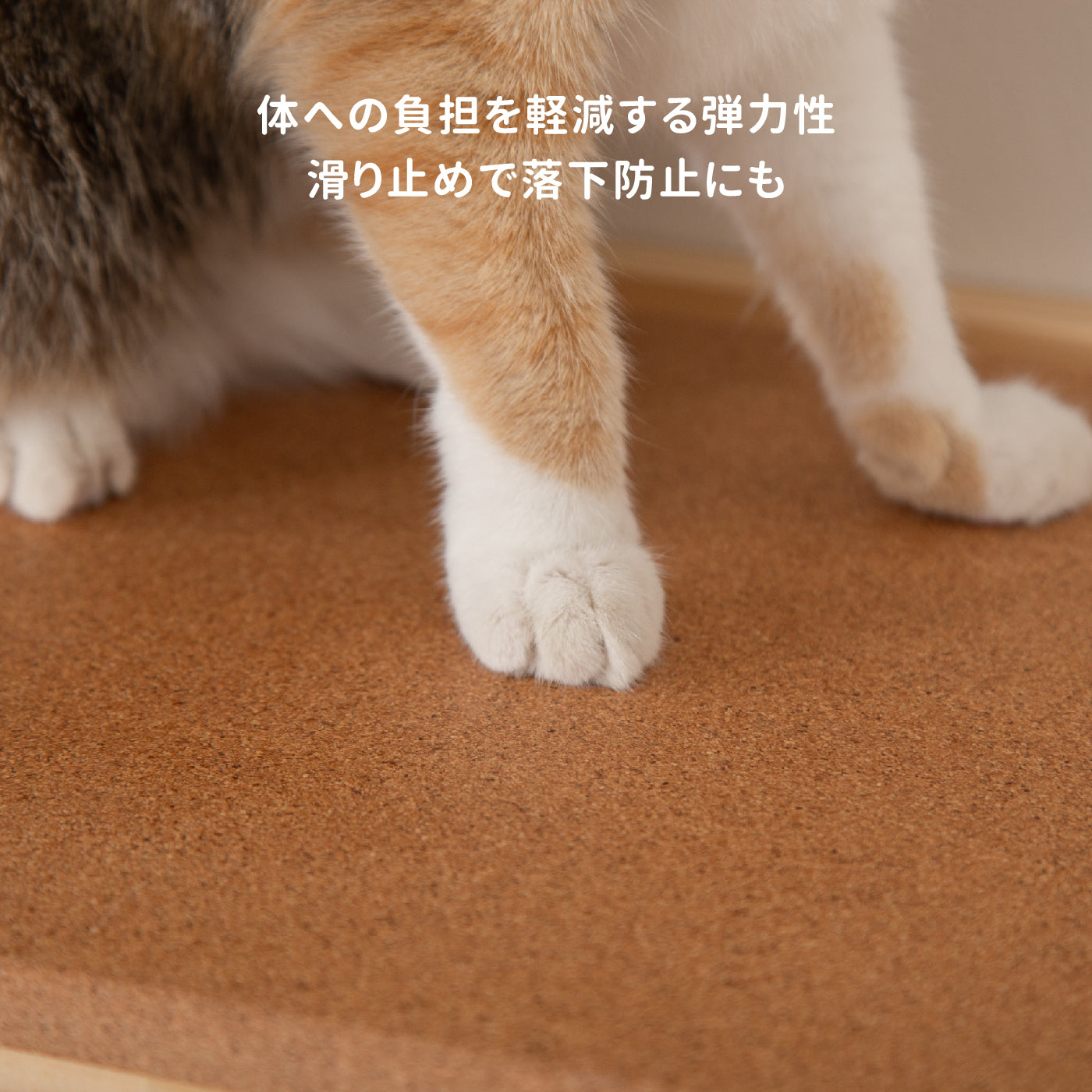 【キャットステップ】MYZOO-CORK
