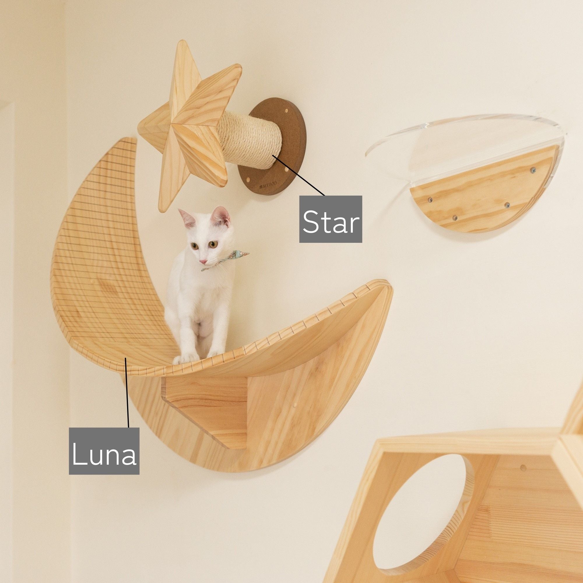 【星空セット】Luna+Star(公式ストア限定)