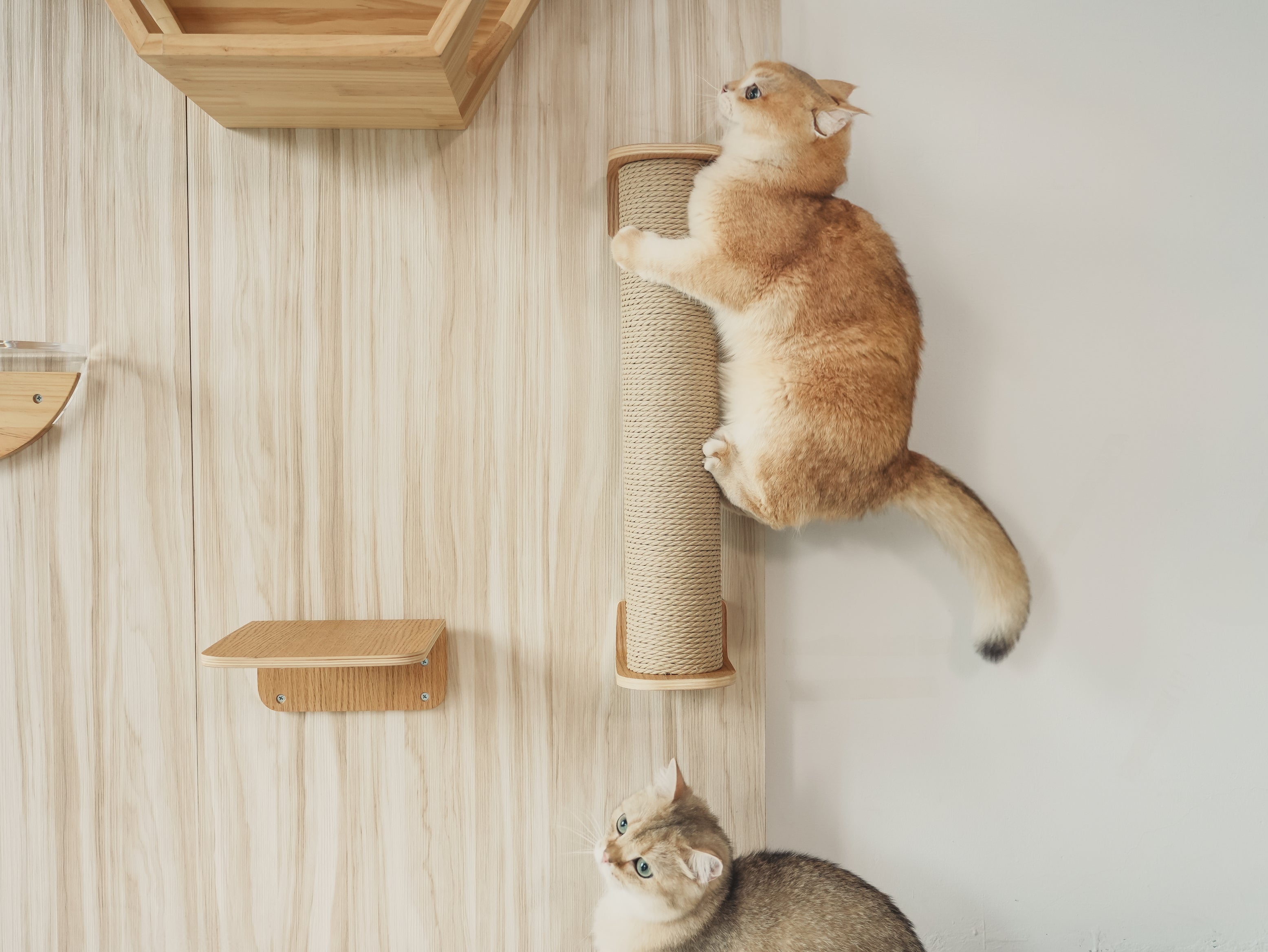 Cylinder For Replacement Eco