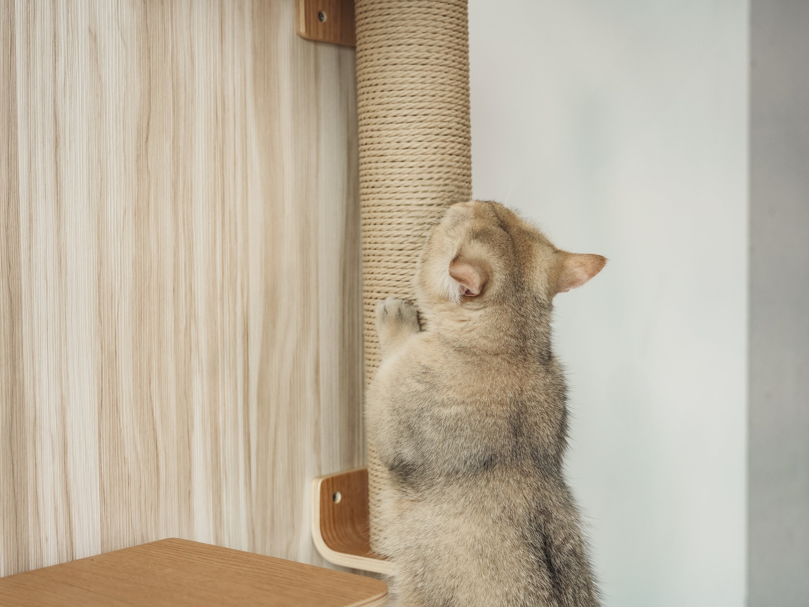 Cylinder For Replacement Eco