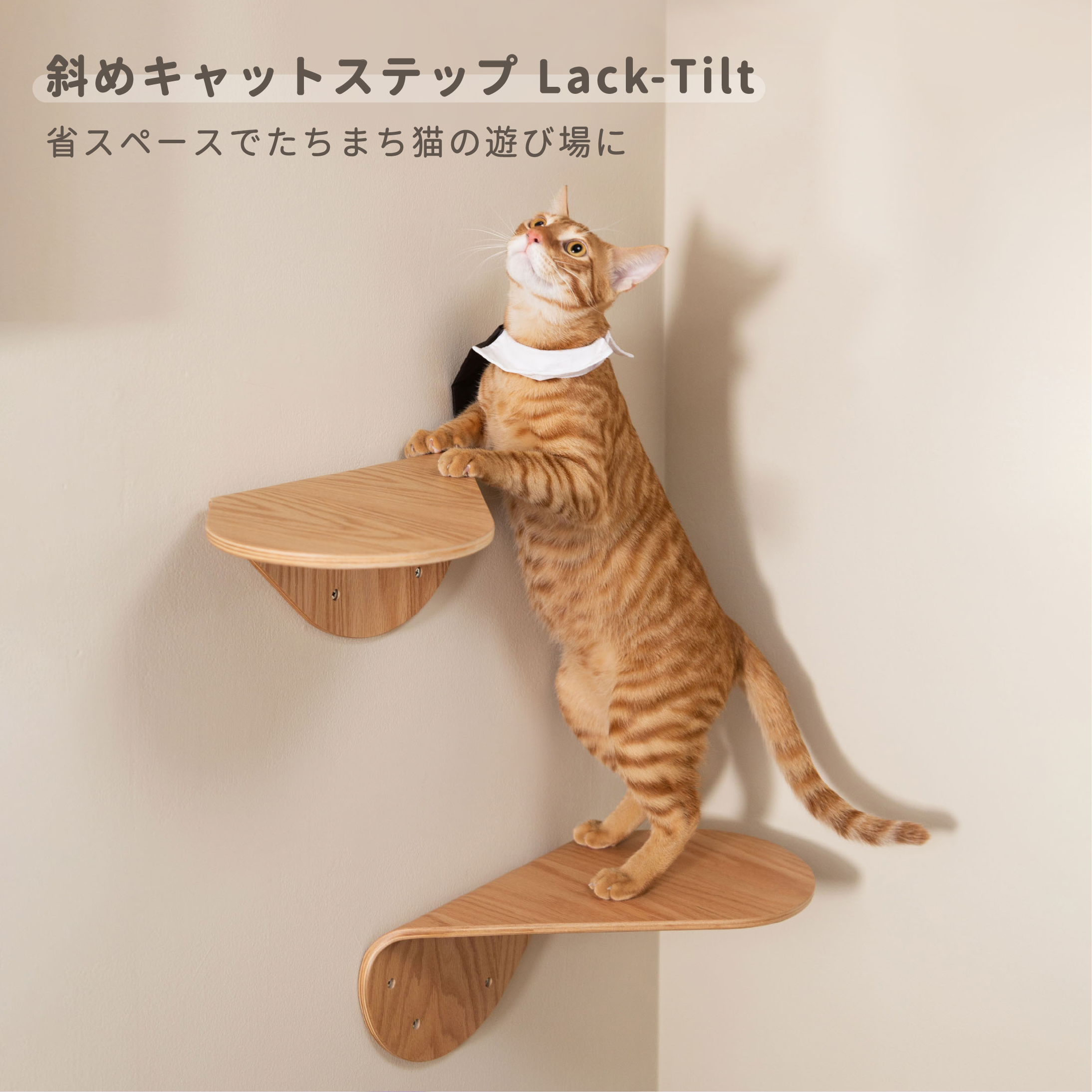 【キャットステップ】MYZOO-LACK TILT