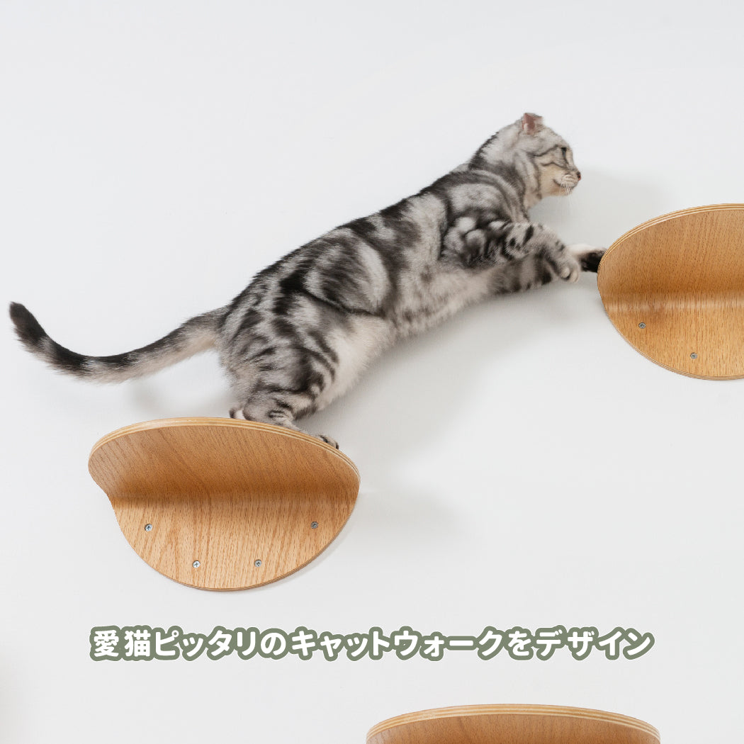 【デポジットお支払い用】キャットウォークレイアウト無料作成サービス