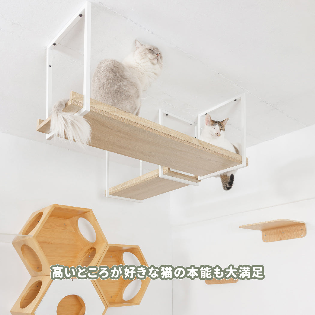 【デポジットお支払い用】キャットウォークレイアウト無料作成サービス