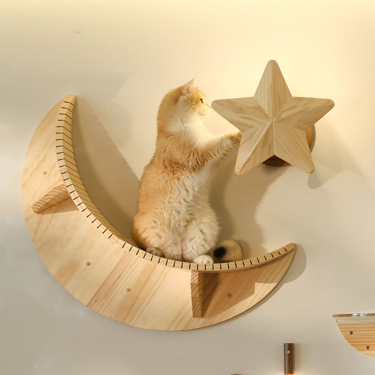 【数量限定】Mini Luna