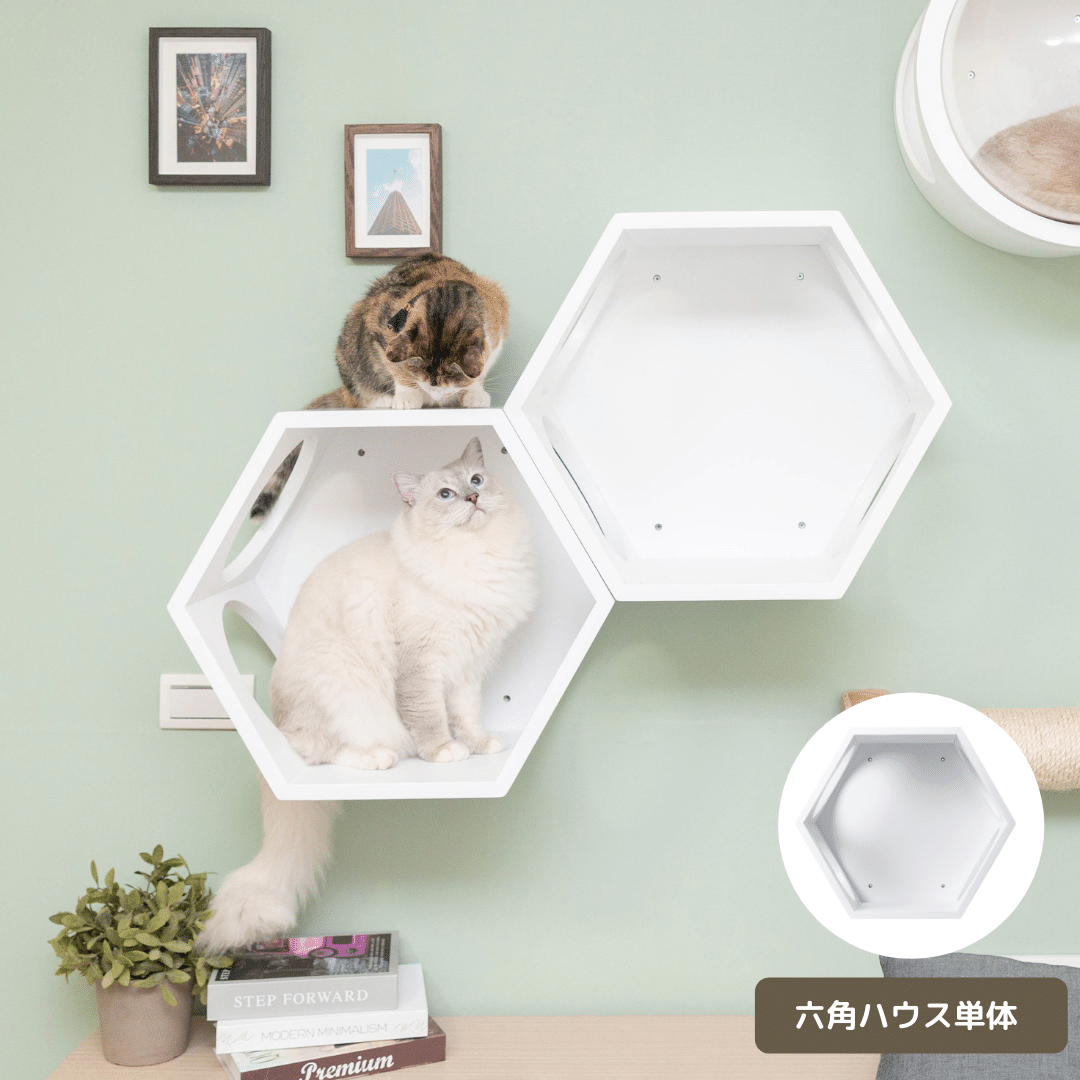 パイン無垢材で作られた壁掛けタイプのキャットタワー。六角形で四面に穴を開けているので、猫は好きな場所から出入りができます。複数繋げることにより、トンネルのようなキャットウォークを楽しめることもできます。