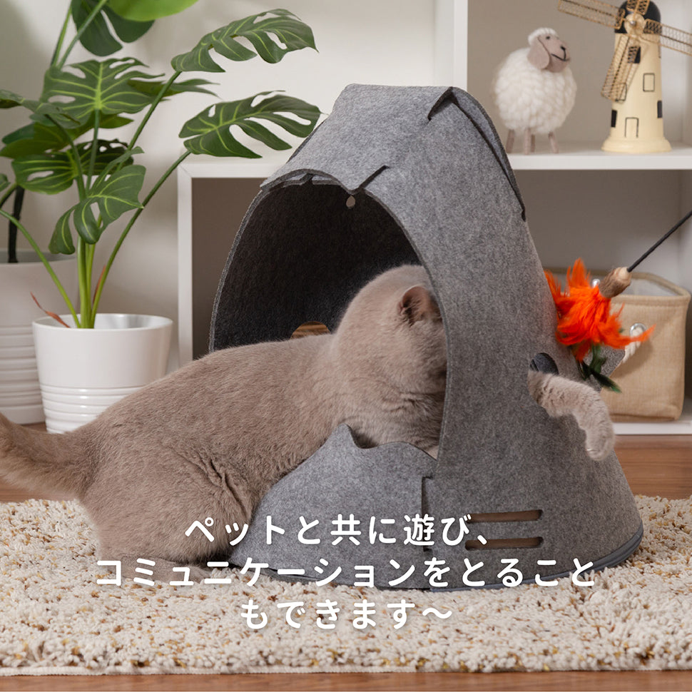 ペットと共に遊び、コミュニケーションをとることもできます