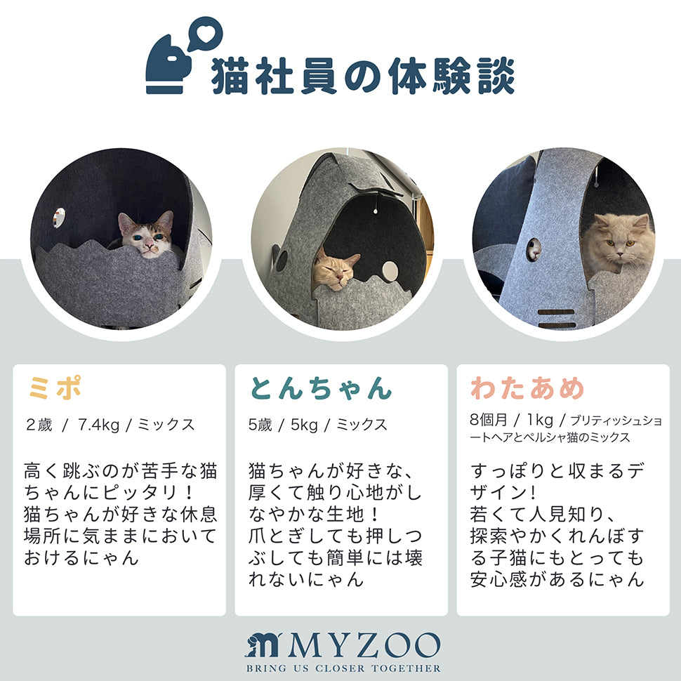 猫社員の体験談