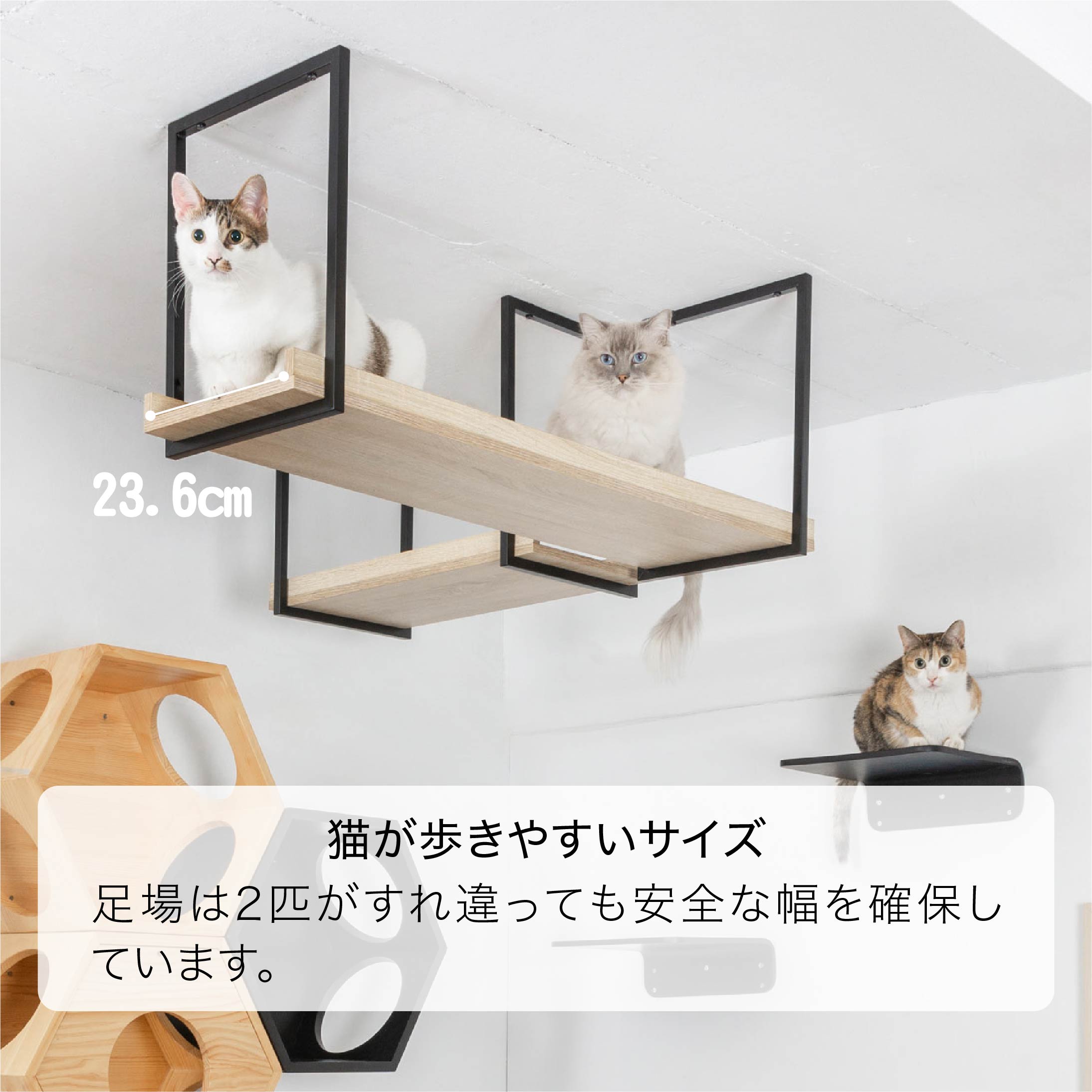猫が歩きやすいサイズ。足場は2匹がすれ違っても安全な幅を確報