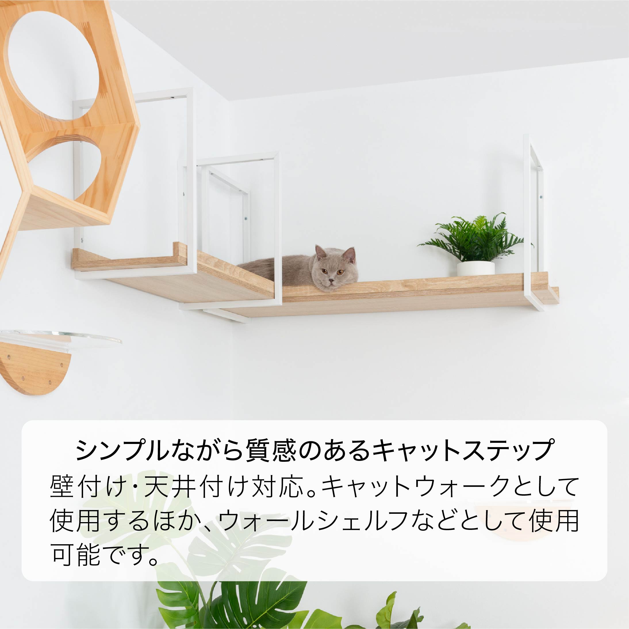 壁付け、天井付け対応。キャットウォークとして使用するほか、ウォールシェルフなどとして使用可能です。