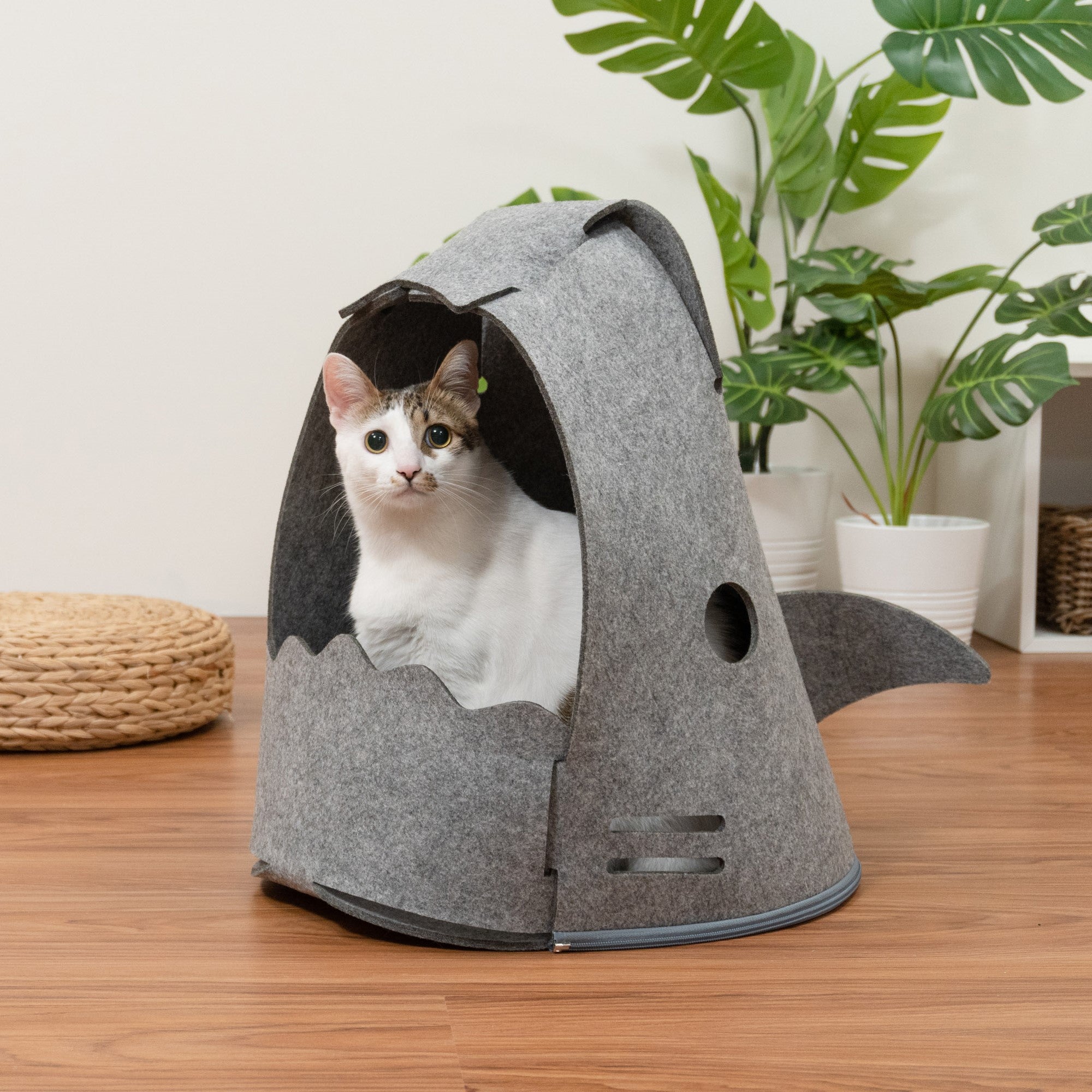 【床置きタイプ猫用ベッド】MYZOO-NEKO SHARK