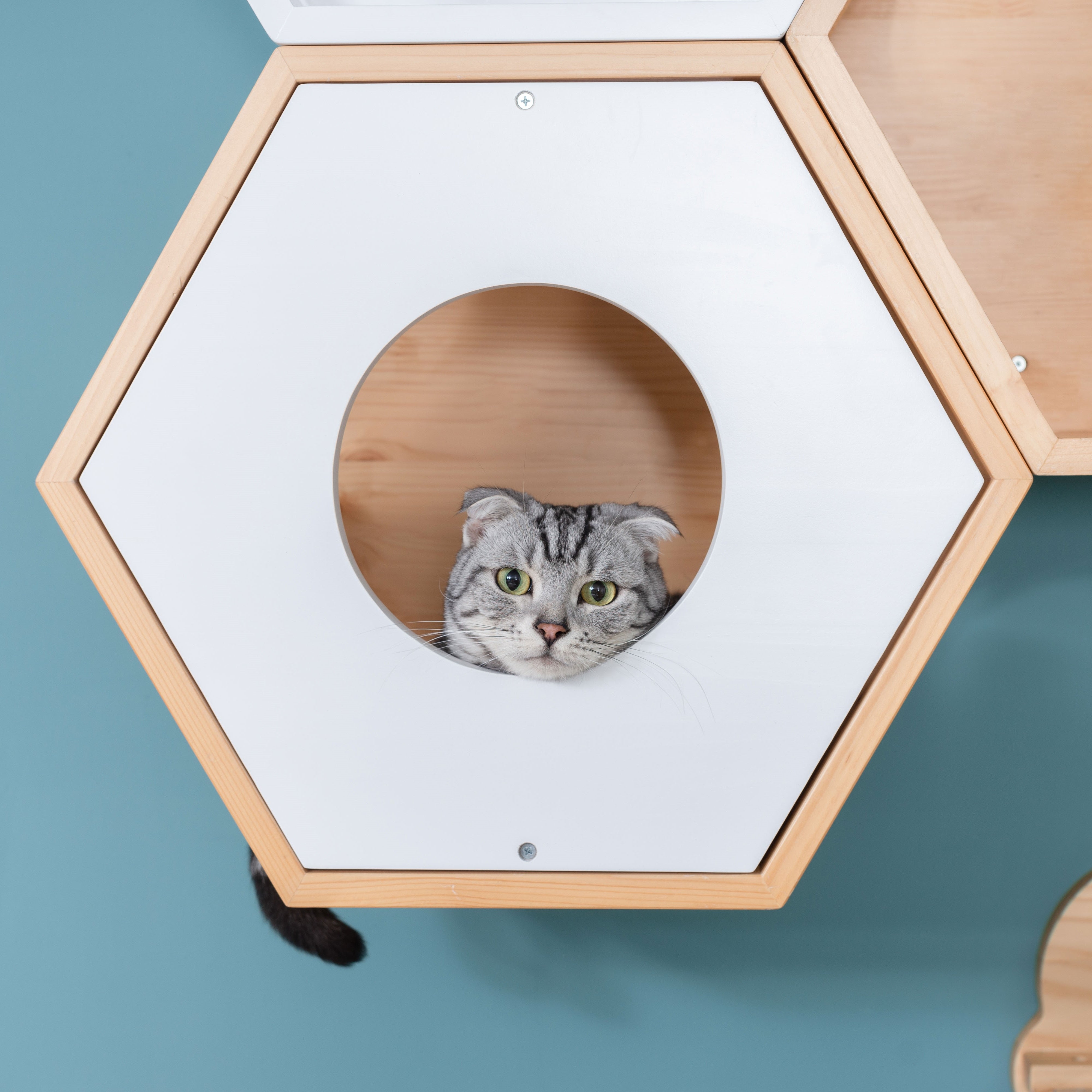 【六角ハウスオプション/猫の隠れ家】MYZOO-六角ハウスカバー(全2色)