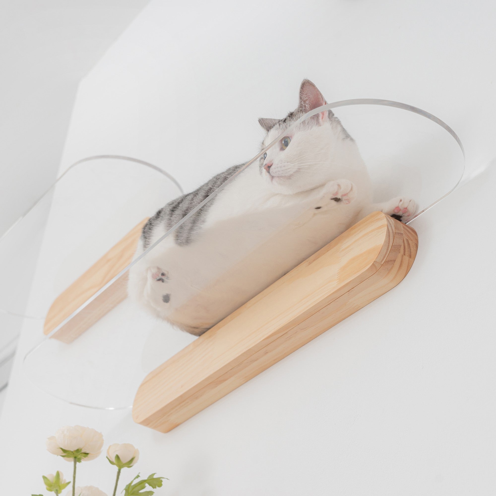 MYZOO-OBLONG キャットステップ/キャットウォーク。踏み台は透明仕様。パイン無垢材。幅60cmと90cmの2サイズが選べる。