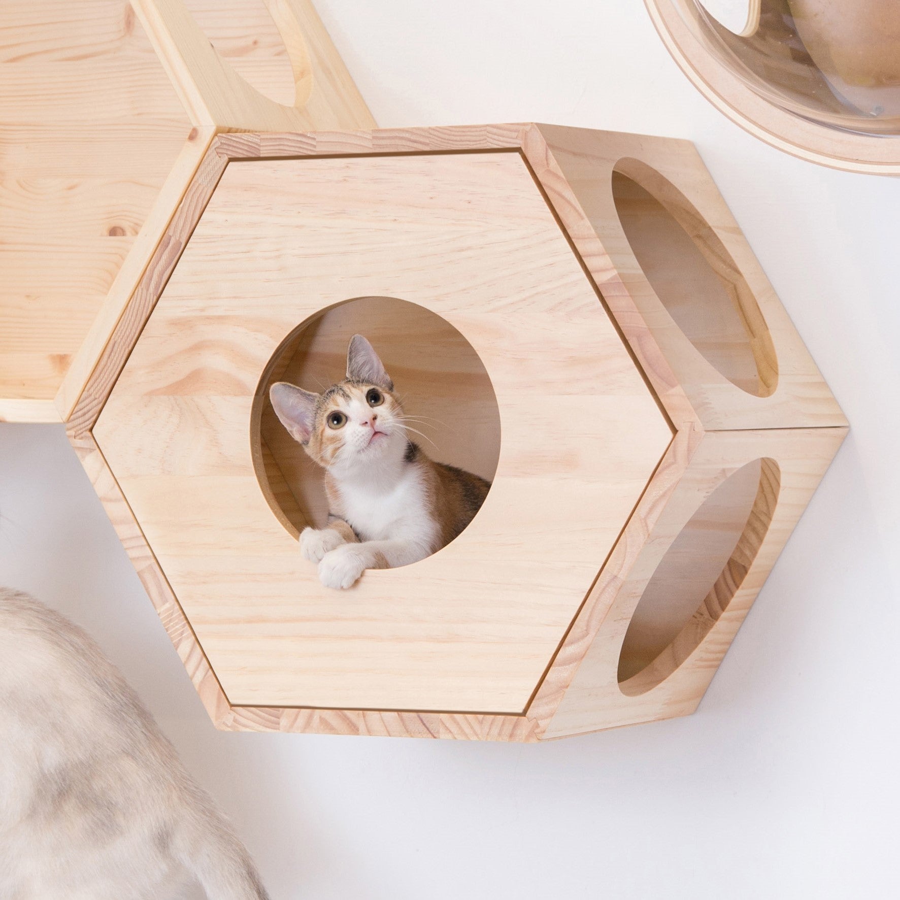 【六角ハウスオプション/猫の隠れ家】MYZOO-六角ハウスカバー(全2色)