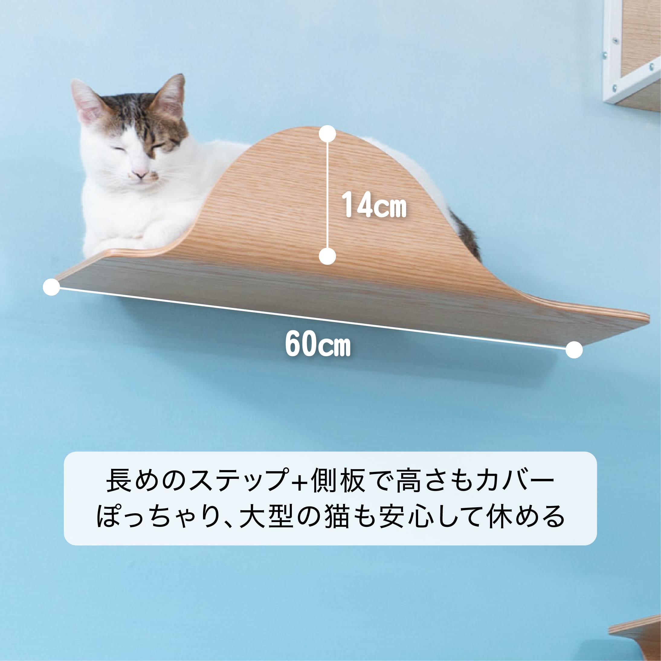 Stingray