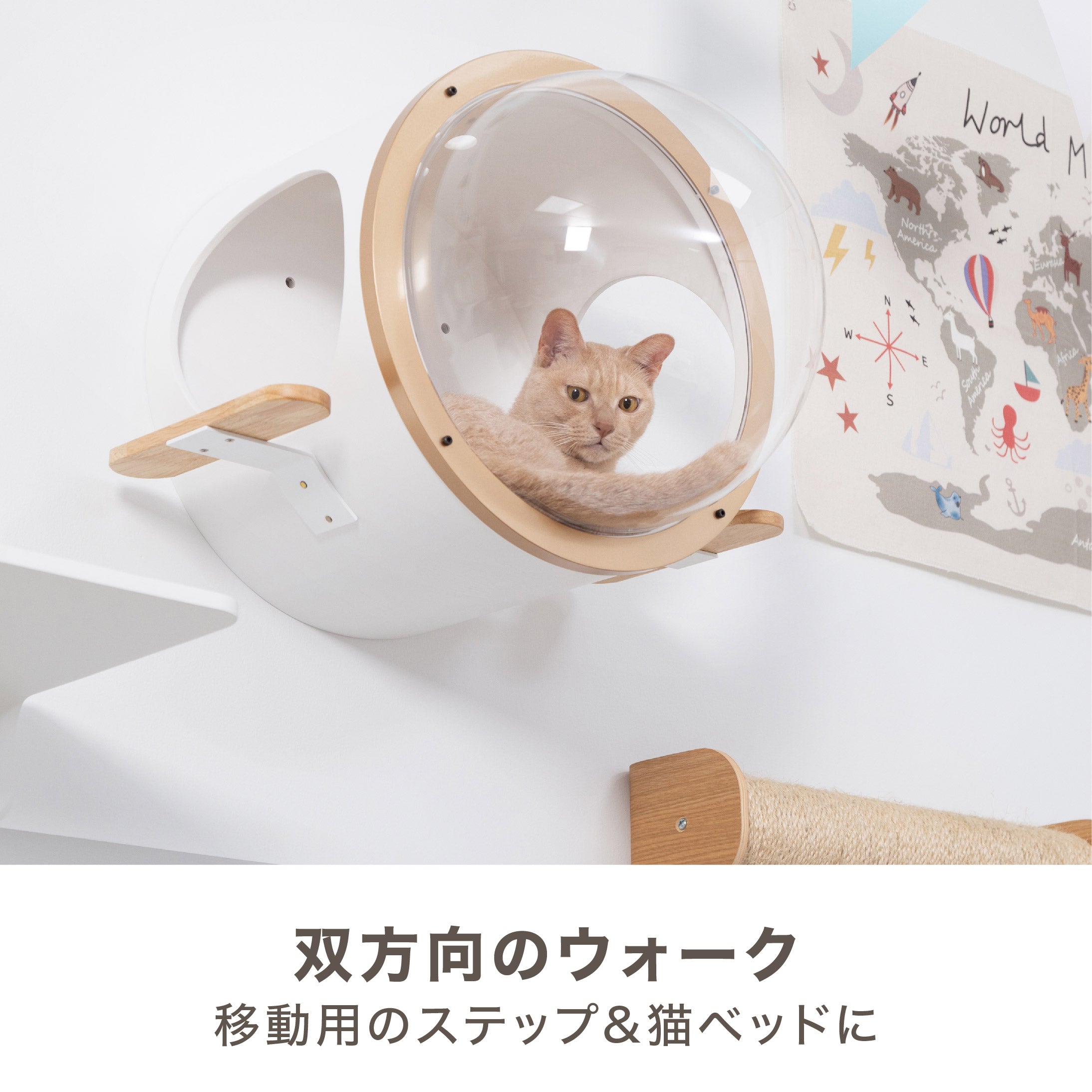 双方向のウォークデザイン