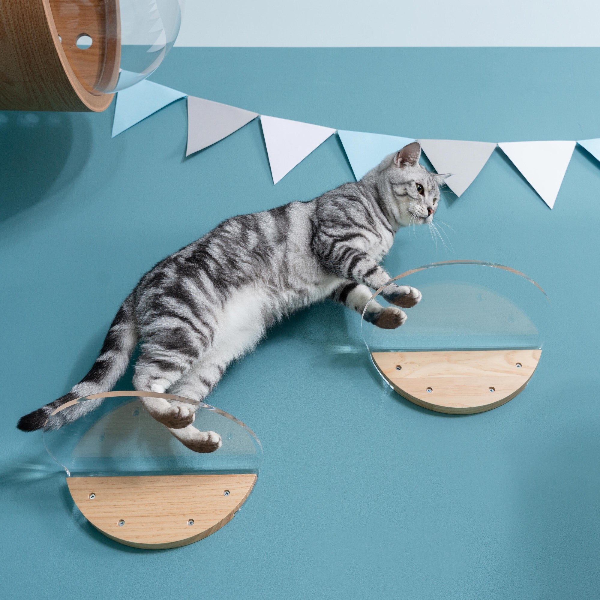 MYZOO ROUND LACK CLEAR キャットステップ/キャットウォーク。取付タイプで据え置きタイプのキャットタワーより省スペース。踏み台部分は透明な仕様のため、下から見上げると猫の可愛い肉球が見えます。