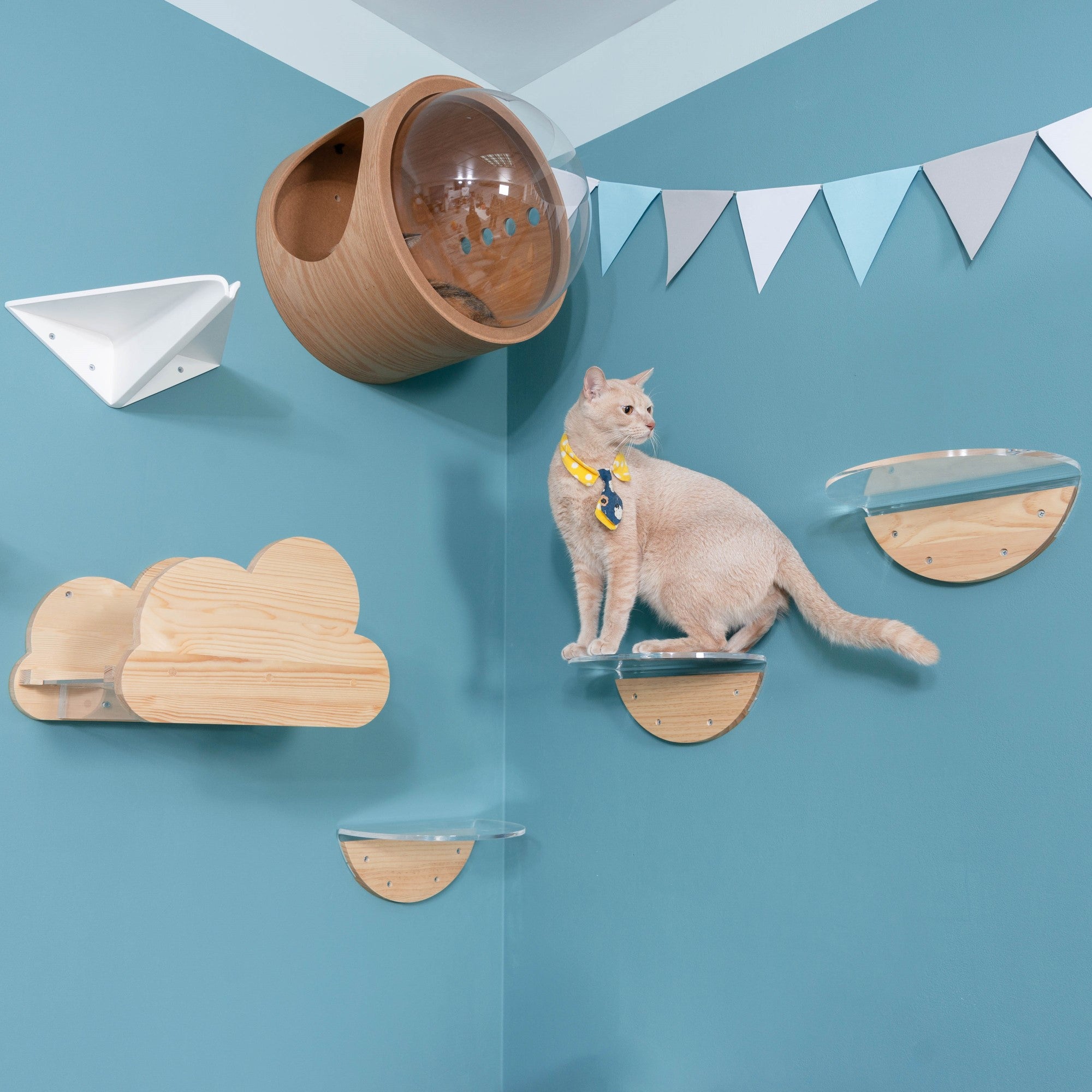 MYZOO ROUND LACK CLEAR キャットステップ/キャットウォーク。取付タイプで据え置きタイプのキャットタワーより省スペース。踏み台部分は透明な仕様のため、下から見上げると猫の可愛い肉球が見えます。