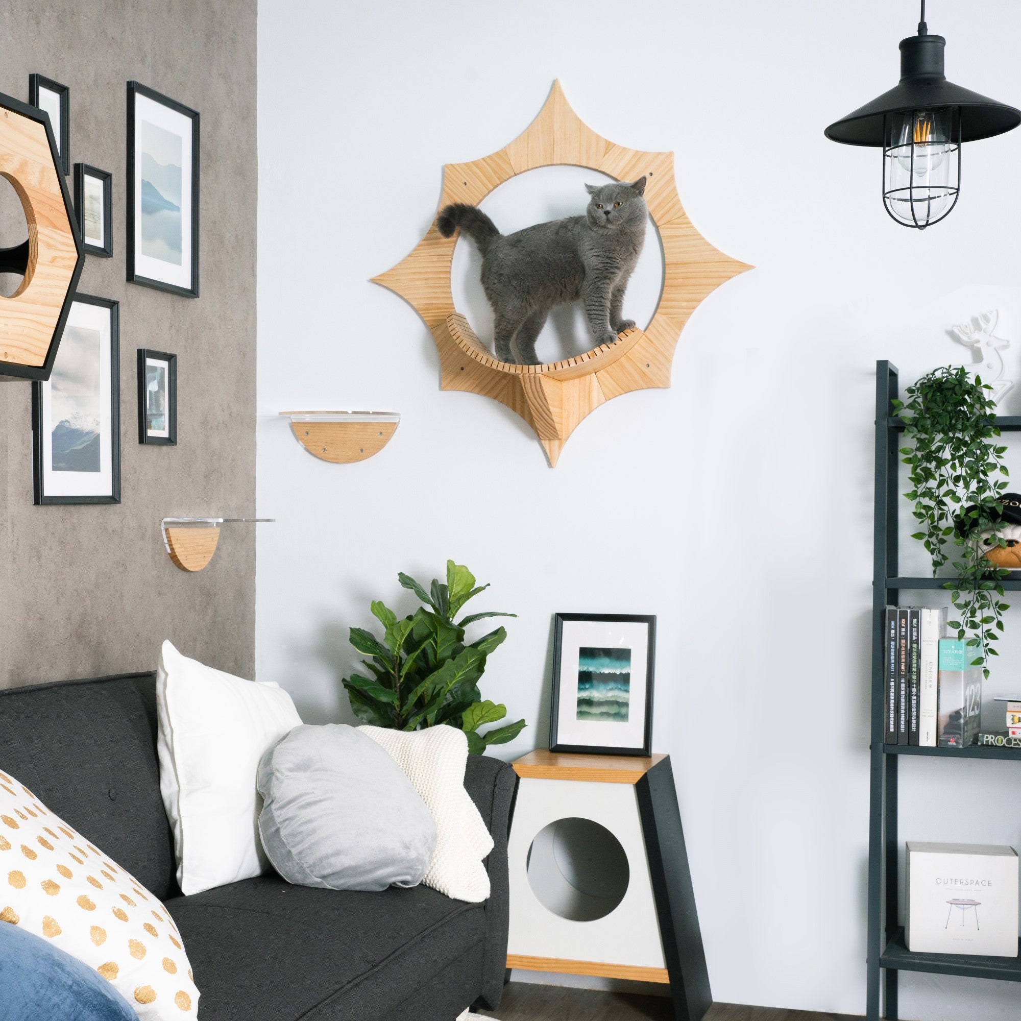 MYZOO Solar キャットステップ/キャットウォーク パイン無垢材 壁付けタイプで省スペース。室内飼育猫の運動不足やストレス解消に。シンプルでかわいいデザインでお部屋のインテリアに損ないません。