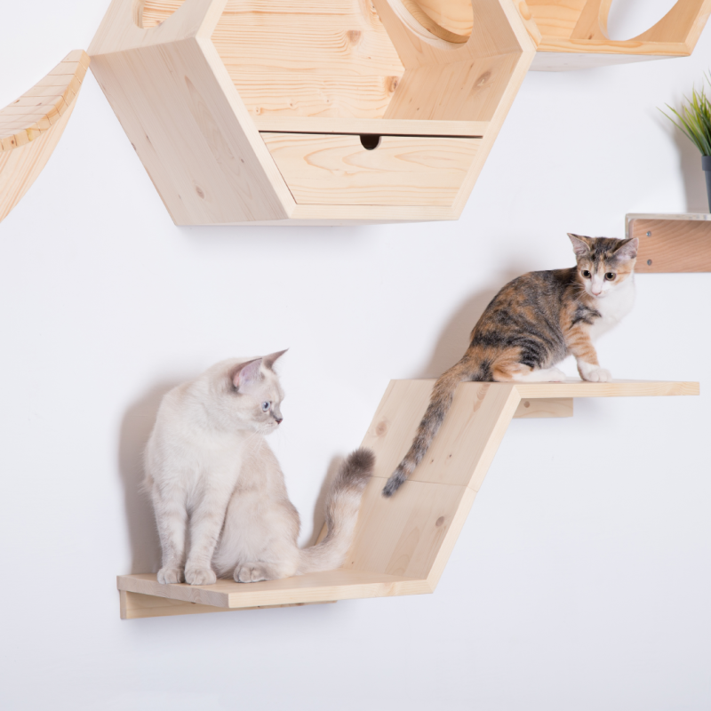MYZOO ZONEキャットステップ/キャットウォーク スプルース無垢材 室内飼育猫の運動不足やストレスに解消。壁付けタイプでスペース取らない。