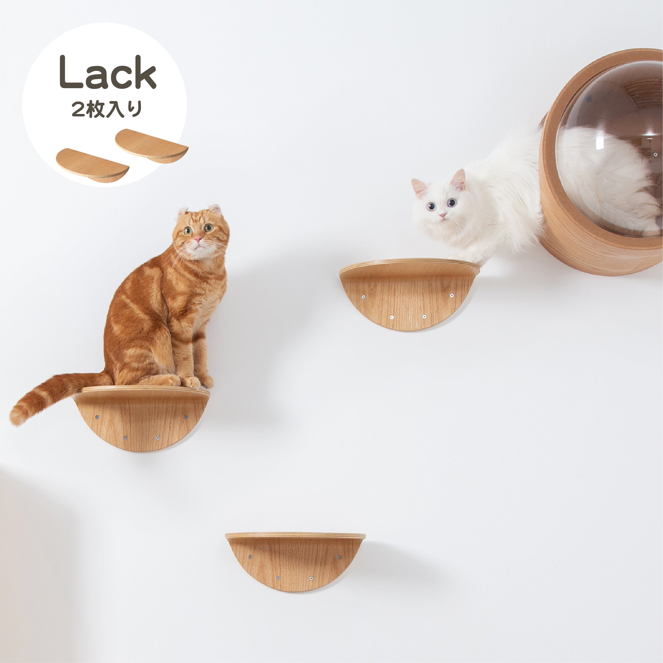 ROUND LACK キャットステップ2枚セット。壁掛けタイプのキャットタワー。半円形で木目色。コンパクトサイズでありながらしっかりネコの体重を支えてくれる。
