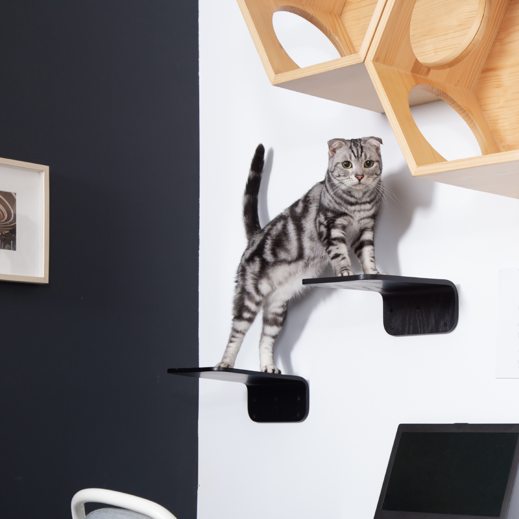 LACK キャットステップ2枚セット。壁掛けタイプキャットタワー。長方形で黒色。コンパクトサイズでありながらしっかりネコの体重を支えてくれる。