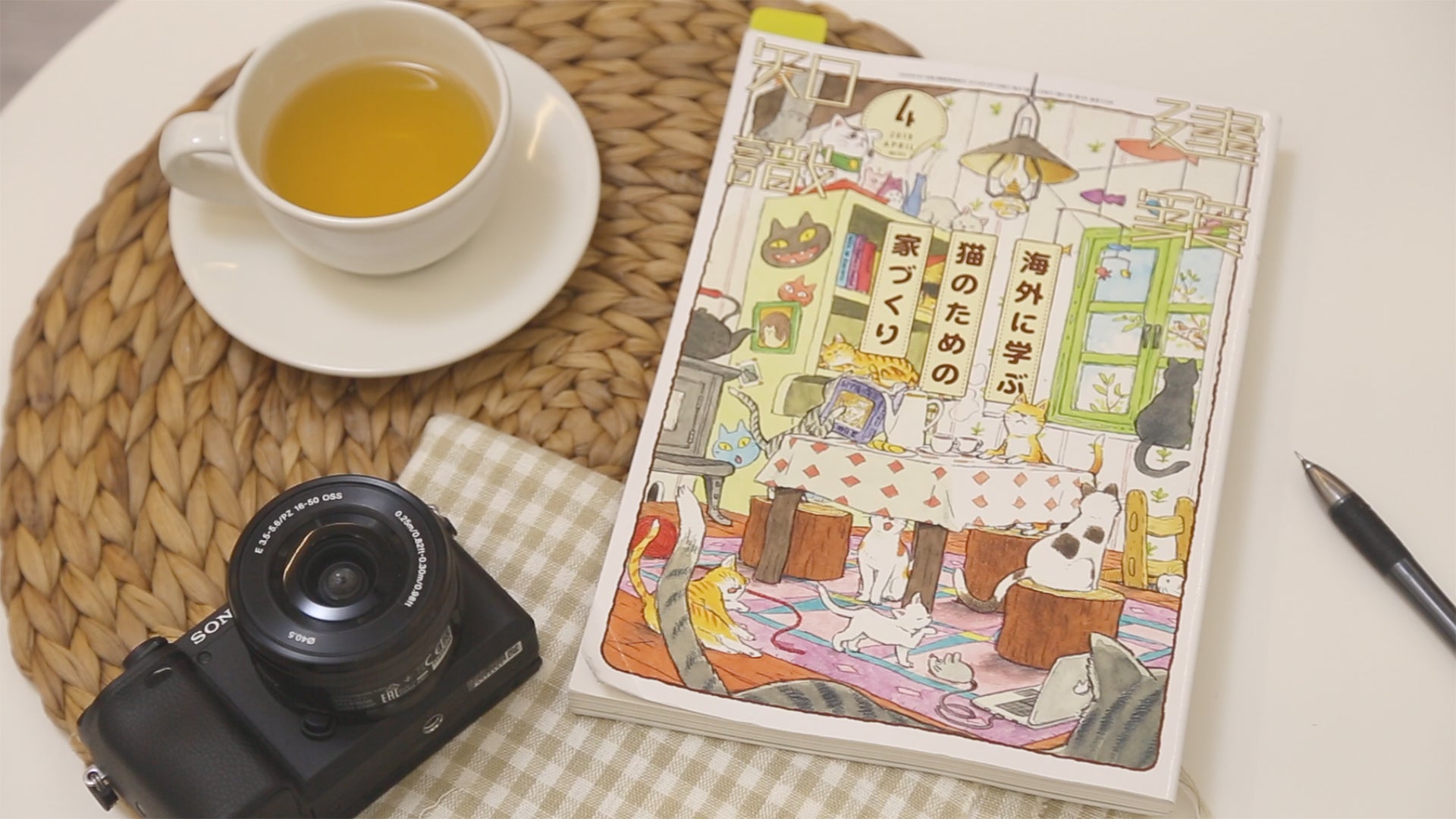 【雑誌】海外に学ぶ猫のための家づくり