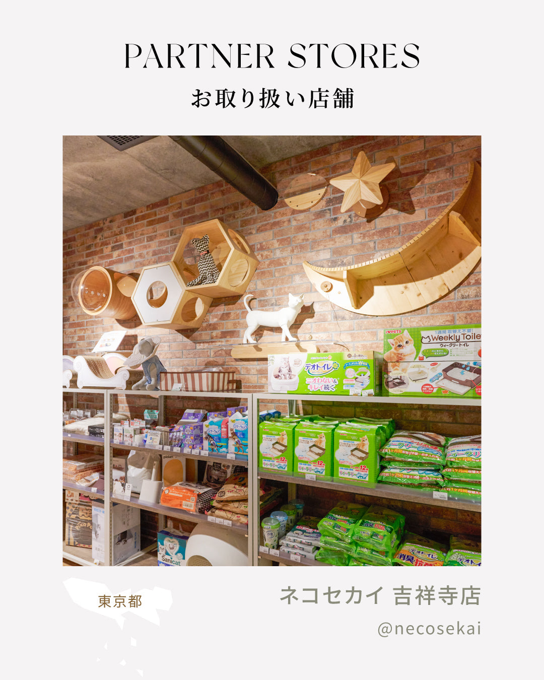 MYZOO取扱店舗｜ネコセカイ 吉祥寺本店（東京）