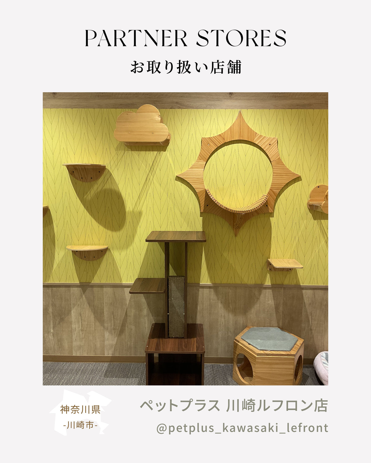 MYZOO取扱店舗情報 ｜ペットプラス 川崎ルフロン店（神奈川県）