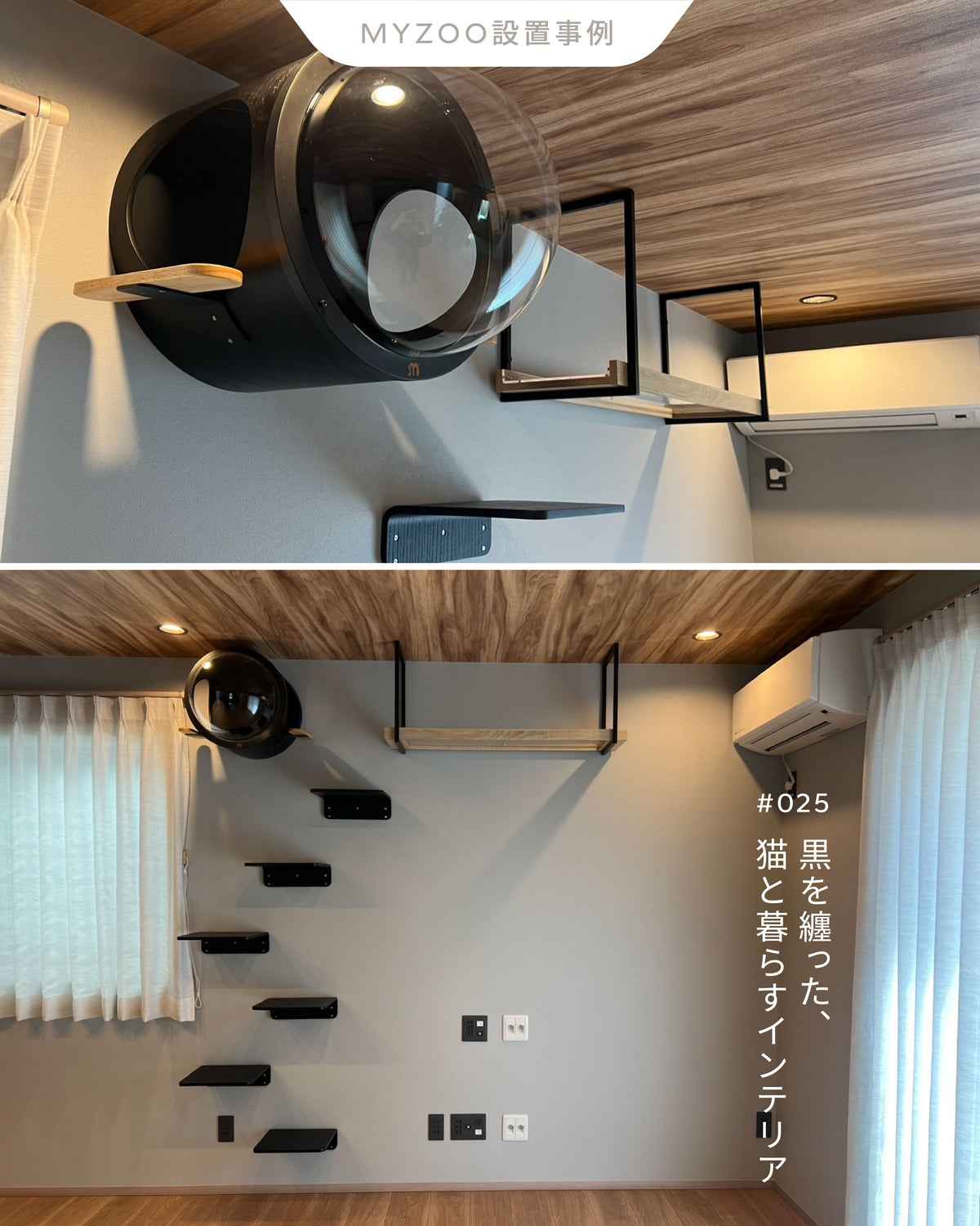 𝐋𝐢𝐯𝐢𝐧𝐠 𝐰𝐢𝐭𝐡 𝐂𝐚𝐭𝐬 ｜ 黒を纏った、猫と暮らすインテリア
