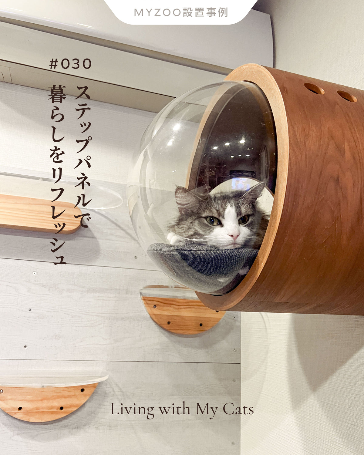 𝐋𝐢𝐯𝐢𝐧𝐠 𝐰𝐢𝐭𝐡 𝐂𝐚𝐭𝐬 ｜ステップパネルで暮らしをリフレッシュ