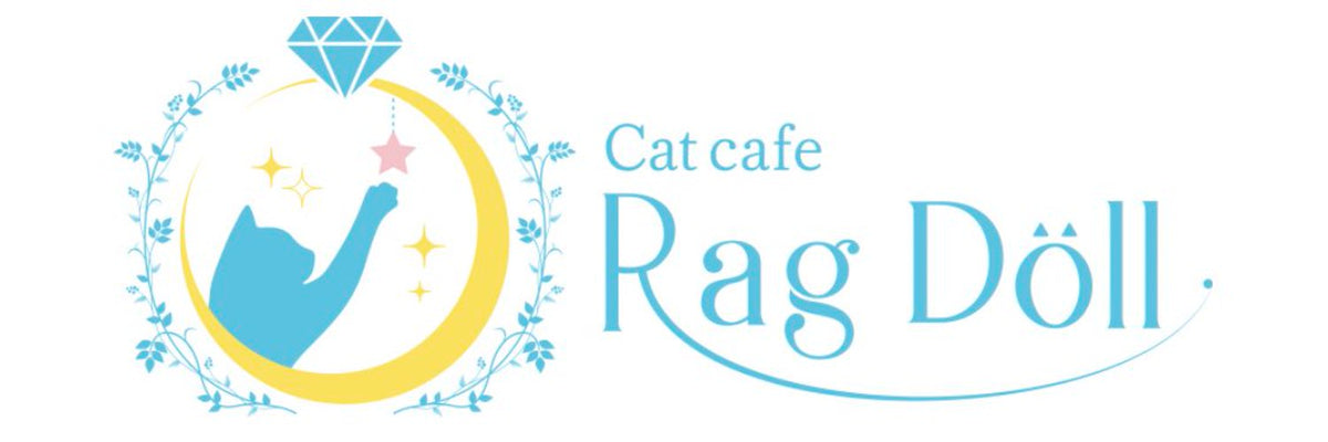 猫カフェラグドール
