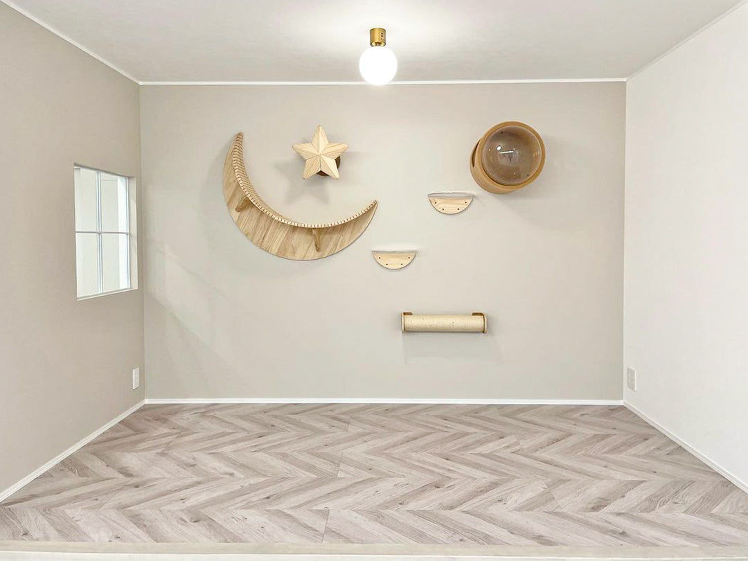 𝐋𝐢𝐯𝐢𝐧𝐠 𝐰𝐢𝐭𝐡 𝐂𝐚𝐭𝐬｜小上がり× Luna