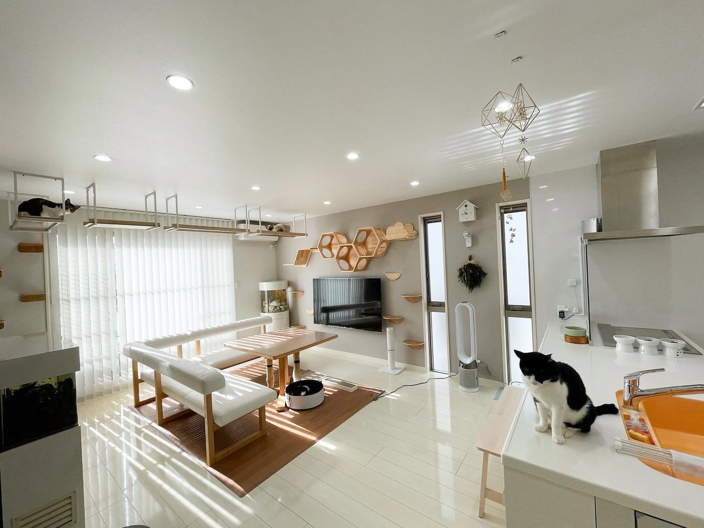 多頭飼いのリビングを猫カフェ風の空間へ