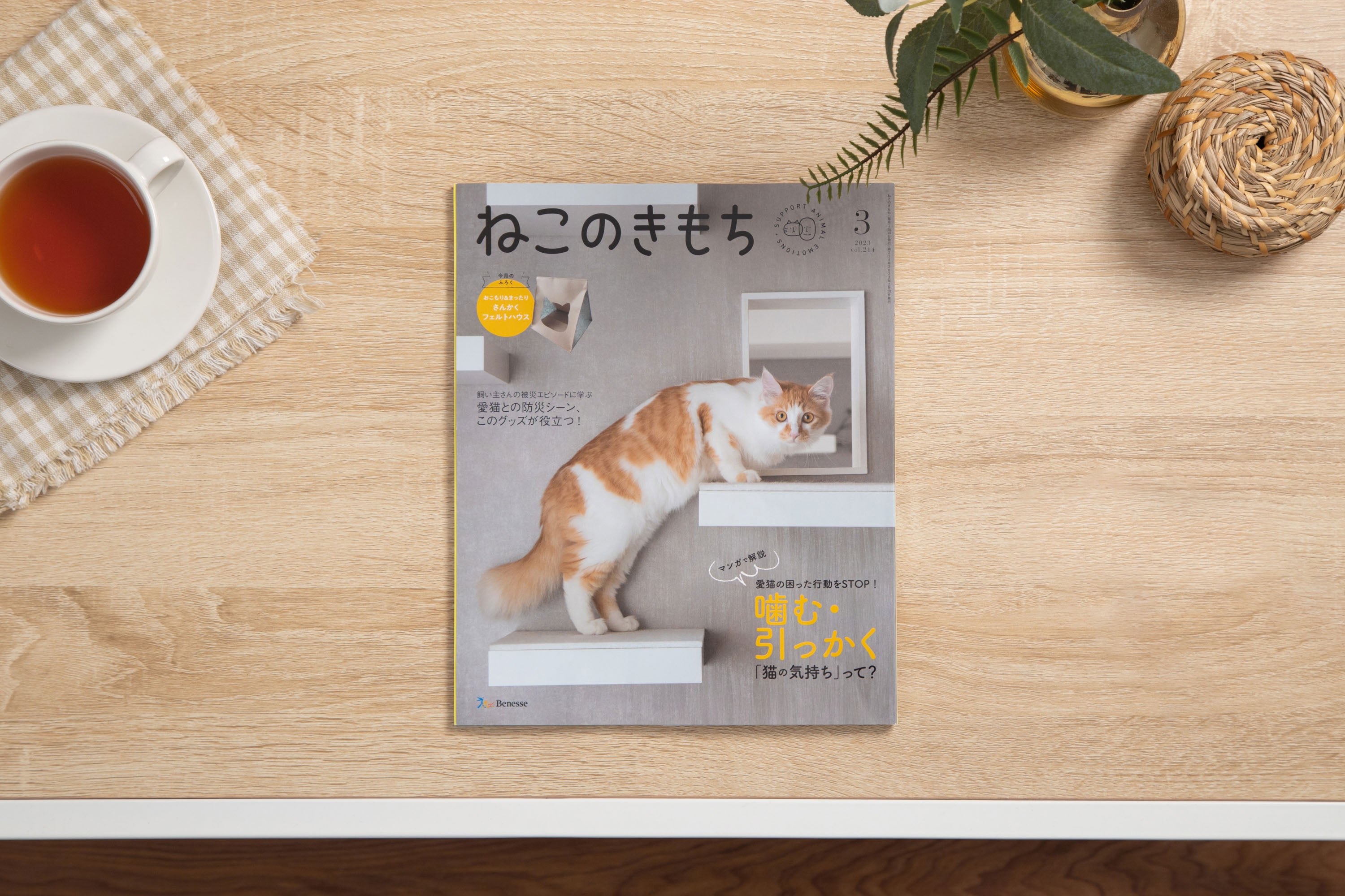 【雑誌】ねこのきもち 3月号　2023年 vol.214