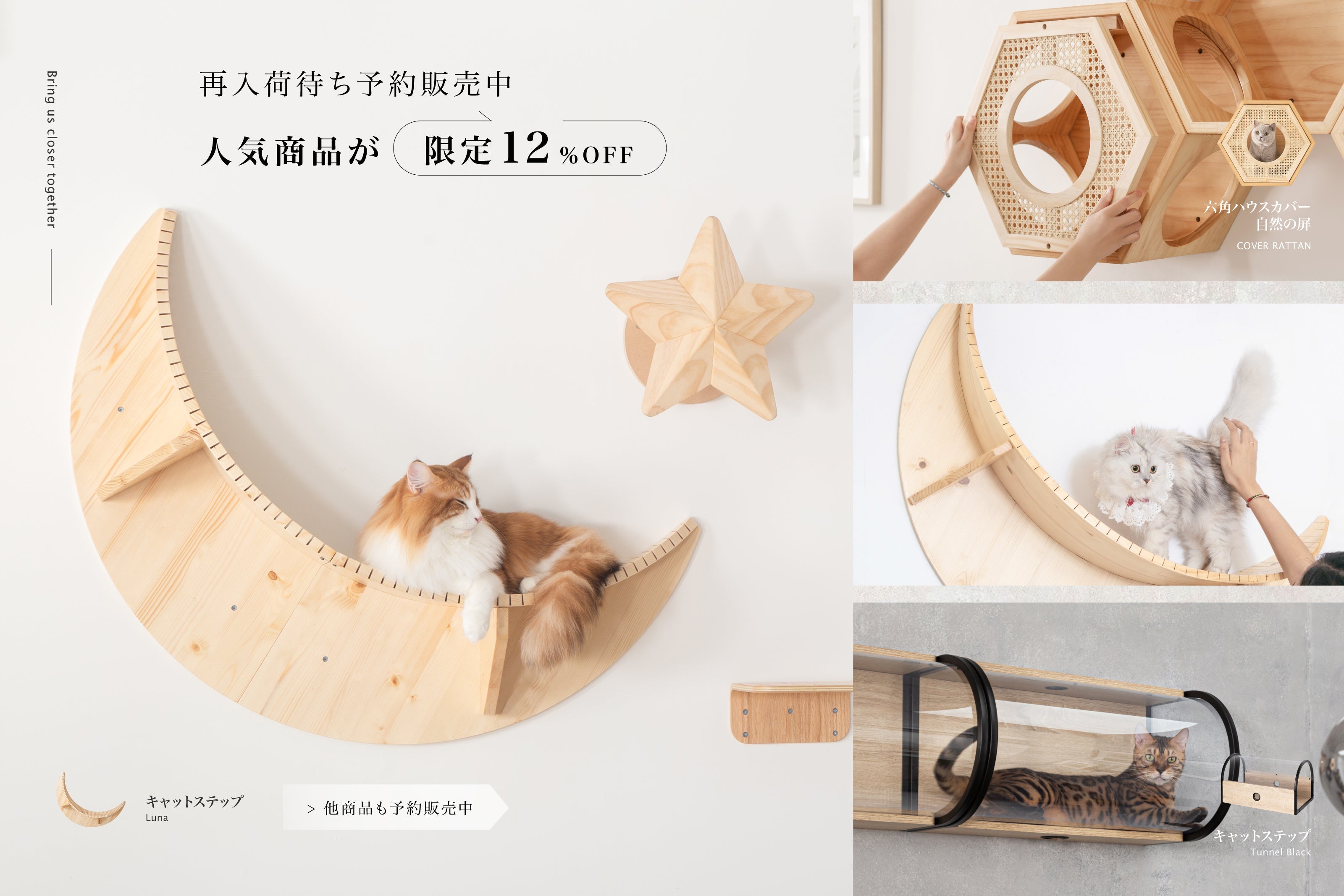 12月の予約商品