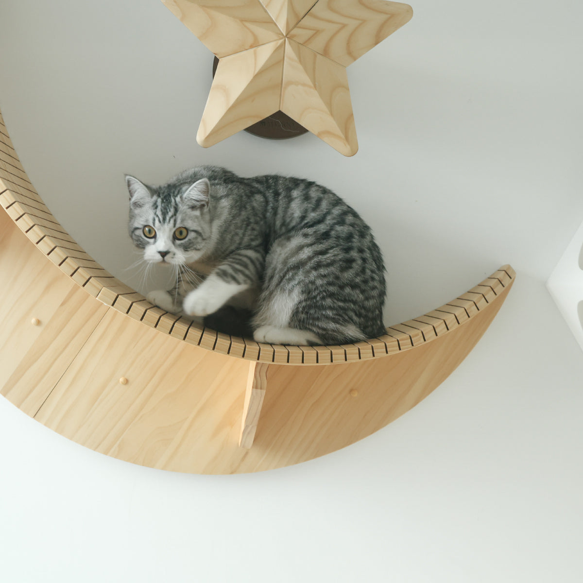 お得なセット商品