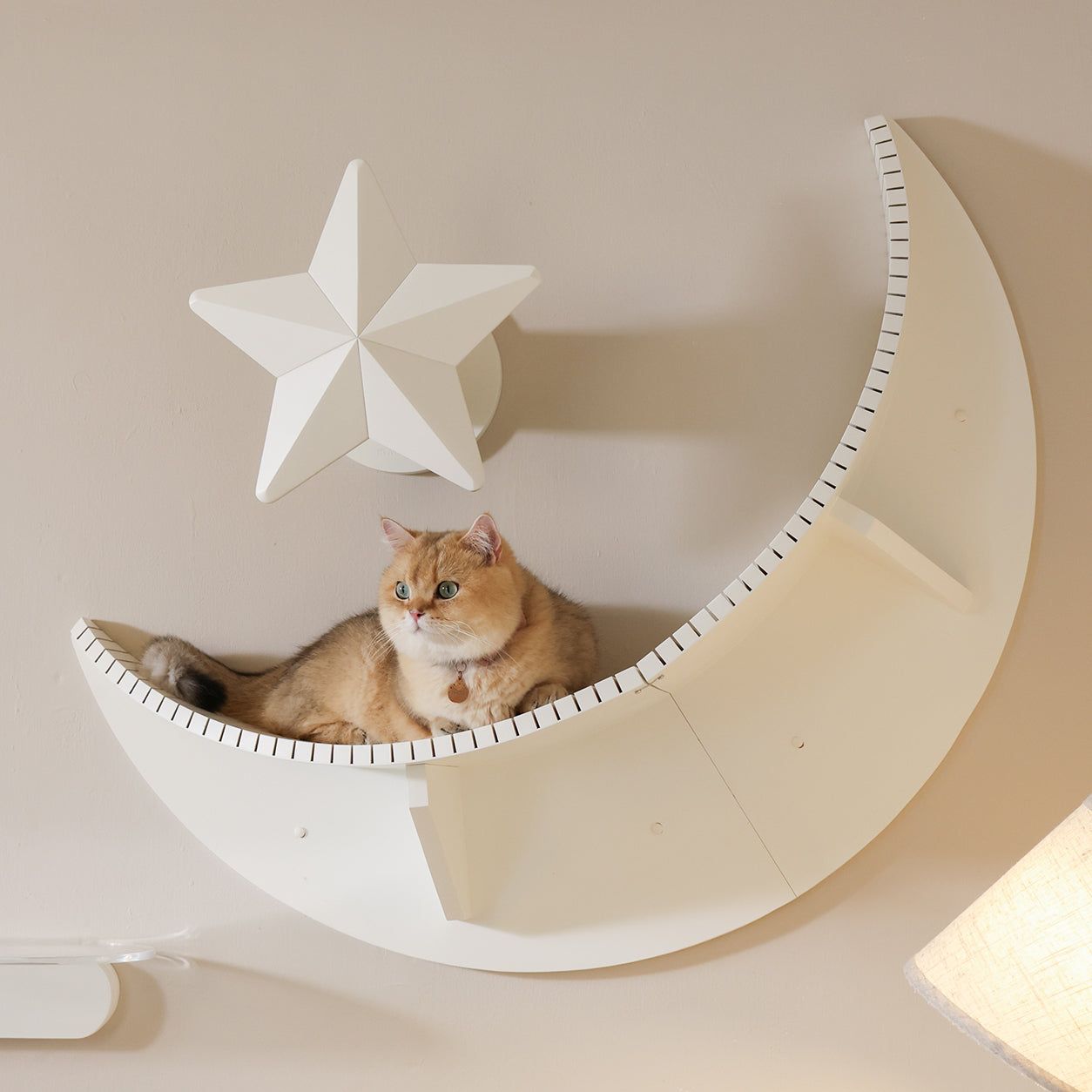 【15周年記念】Star White　7/7販売開始