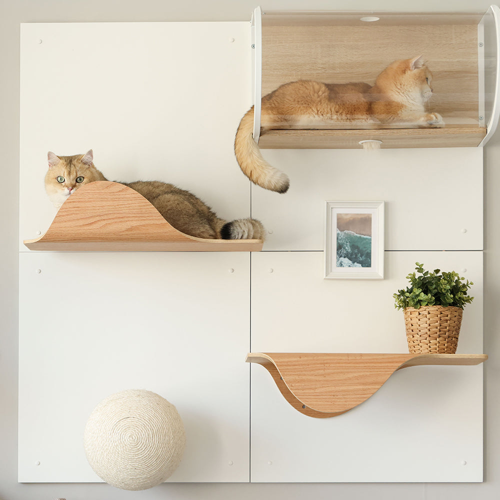 【新登場】Cat Wall panel (2pcs)
