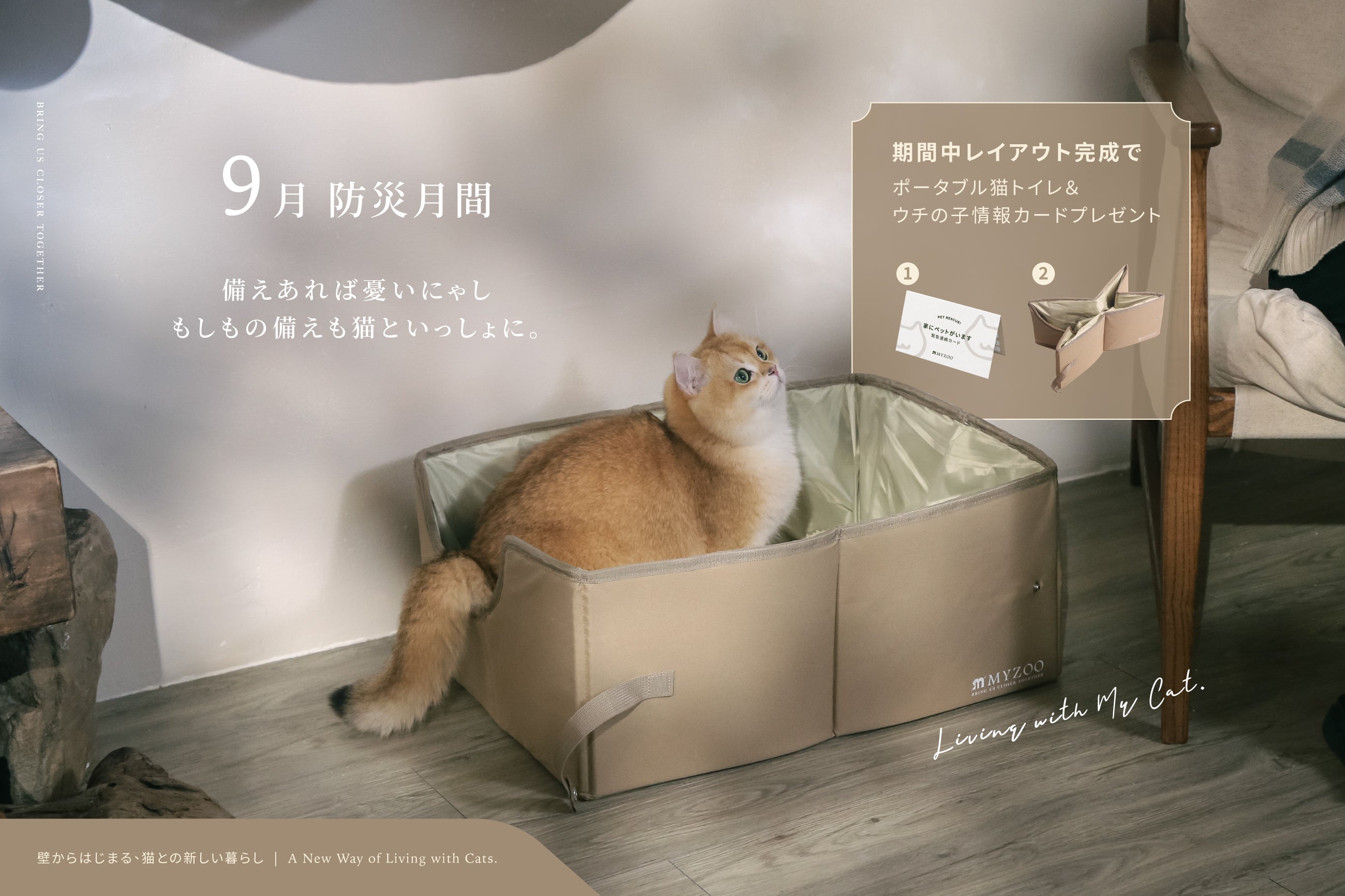 MYZOO-JP