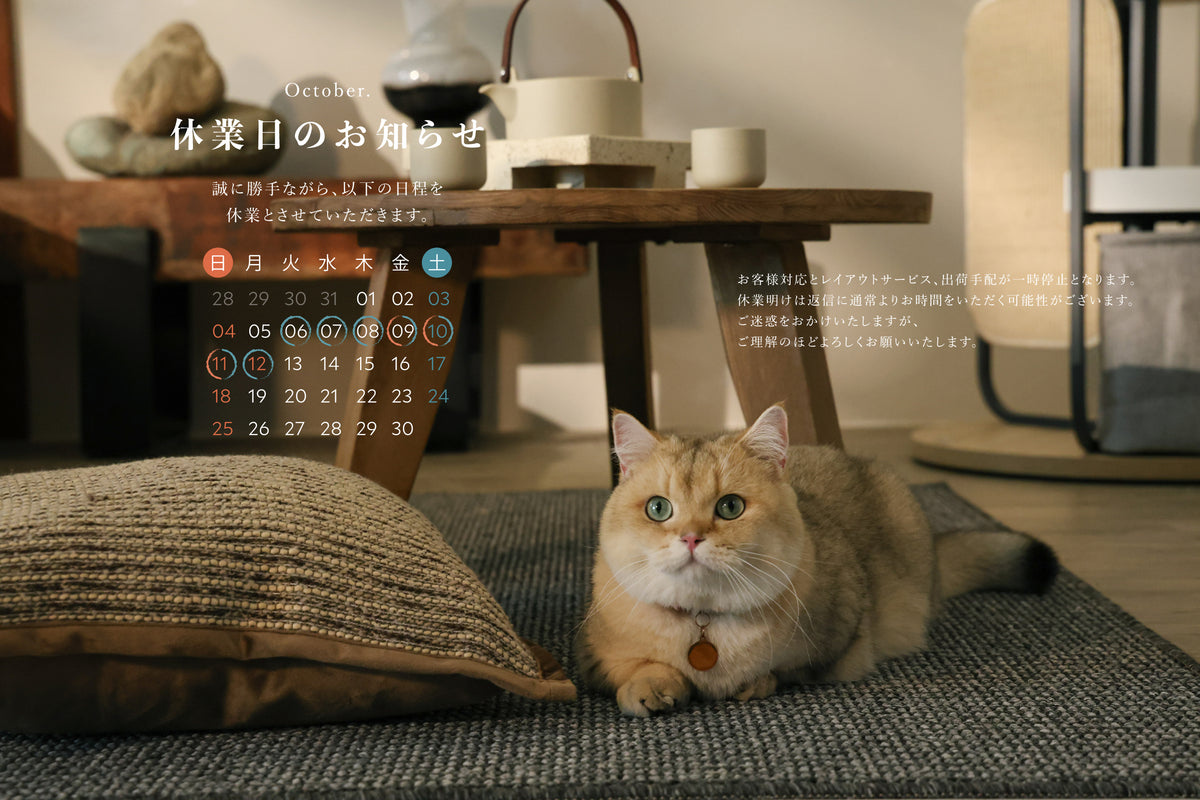 MYZOO | キャットステップ･猫用ベッド通販